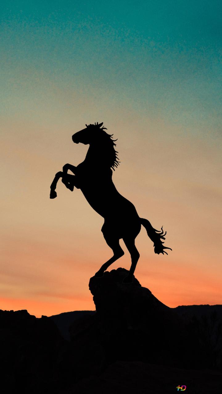 Horse silhouette and sunset red view prancing on cliffs 2K wallpaper download