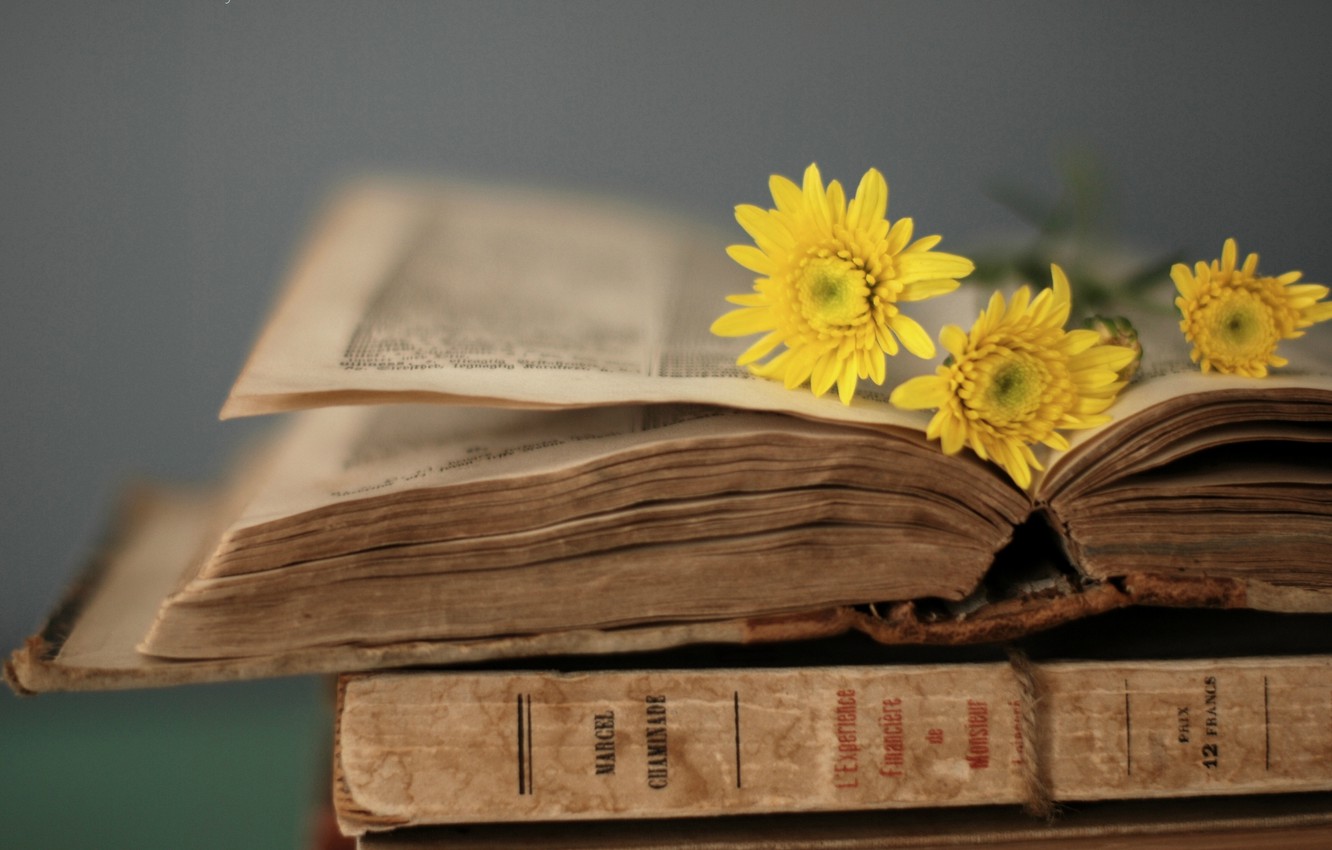 Wallpaper flowers, yellow, style, background, Wallpaper, book, owner, page, wallpaper image for desktop, section стиль