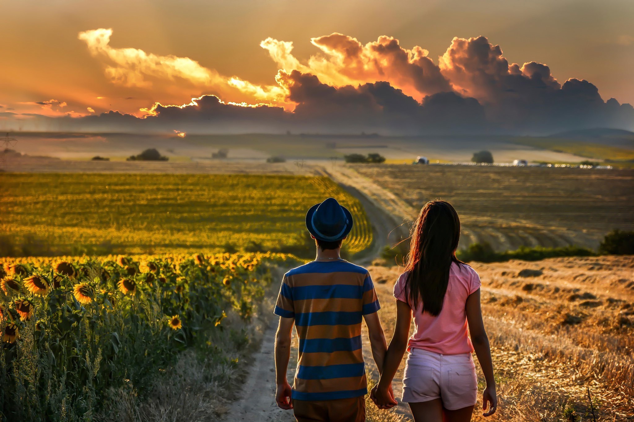 couple, Holding Hands, Road, Field, Back, Clouds, Sunflowers Wallpaper HD / Desktop and Mobile Background