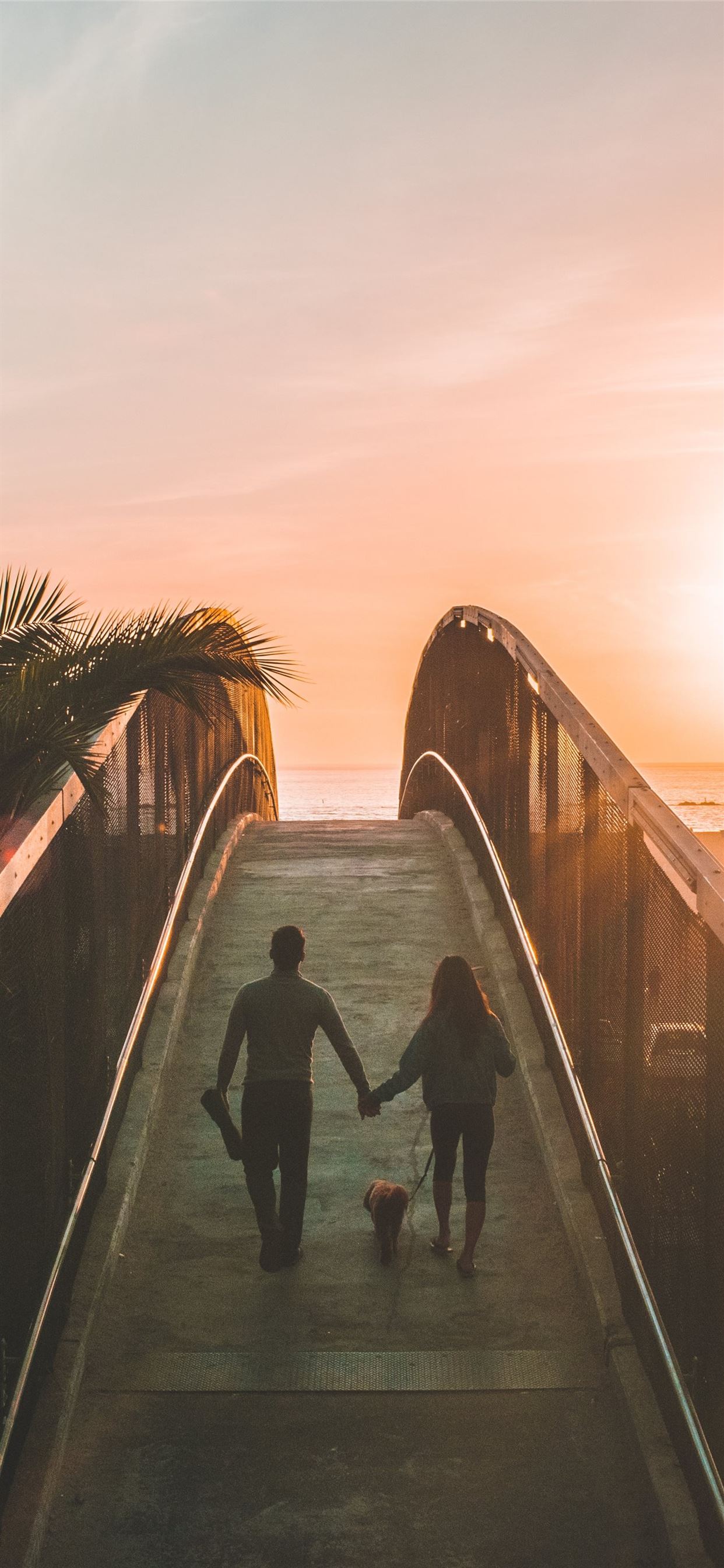 man and woman holding hand while walking on bridge iPhone 11 Wallpaper Free Download