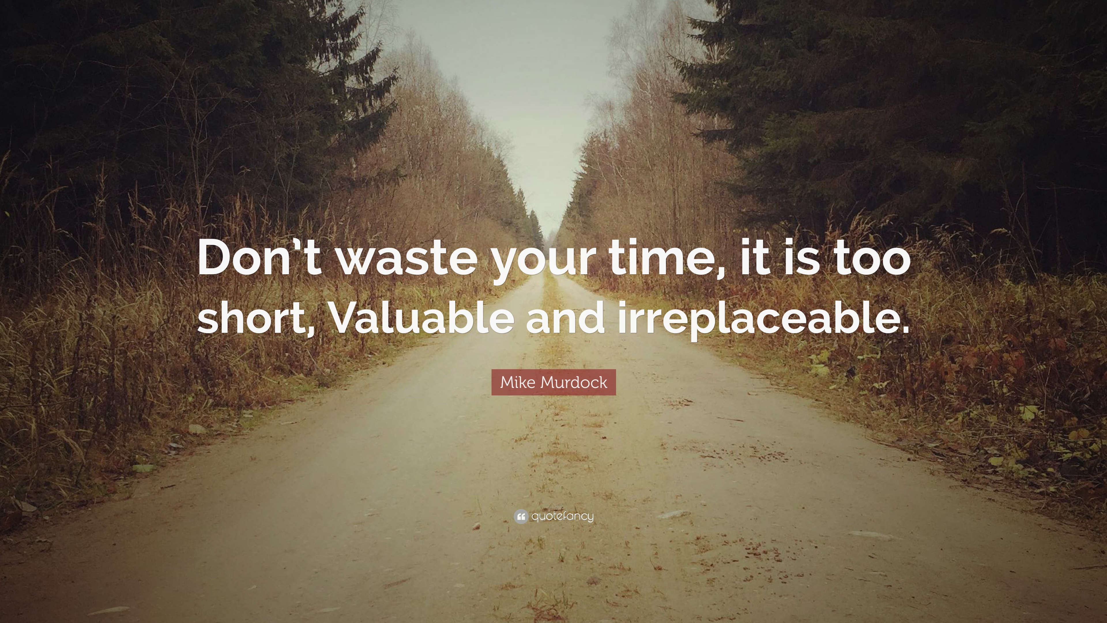 Mike Murdock Quote: “Don't waste your time, it is too short, Valuable and irreplaceable.”