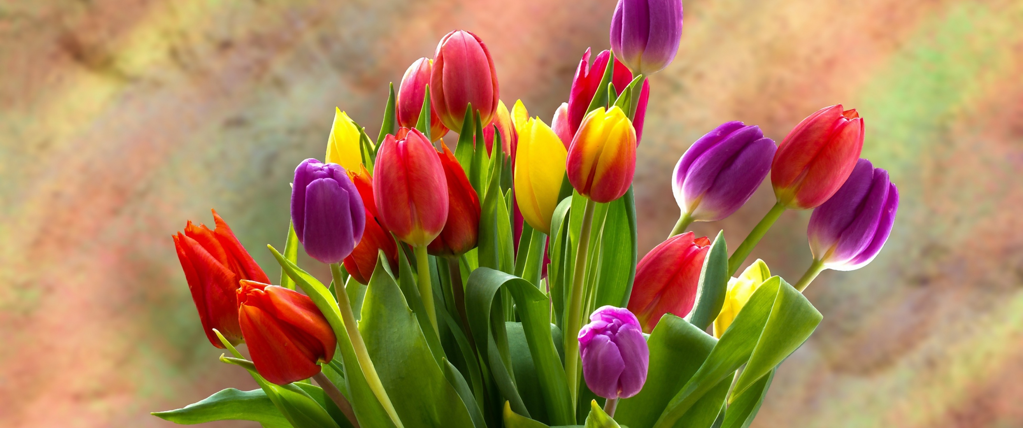 Tulip Bouquet Wallpaper 4K, Spring flowers, Tulips, Flowers