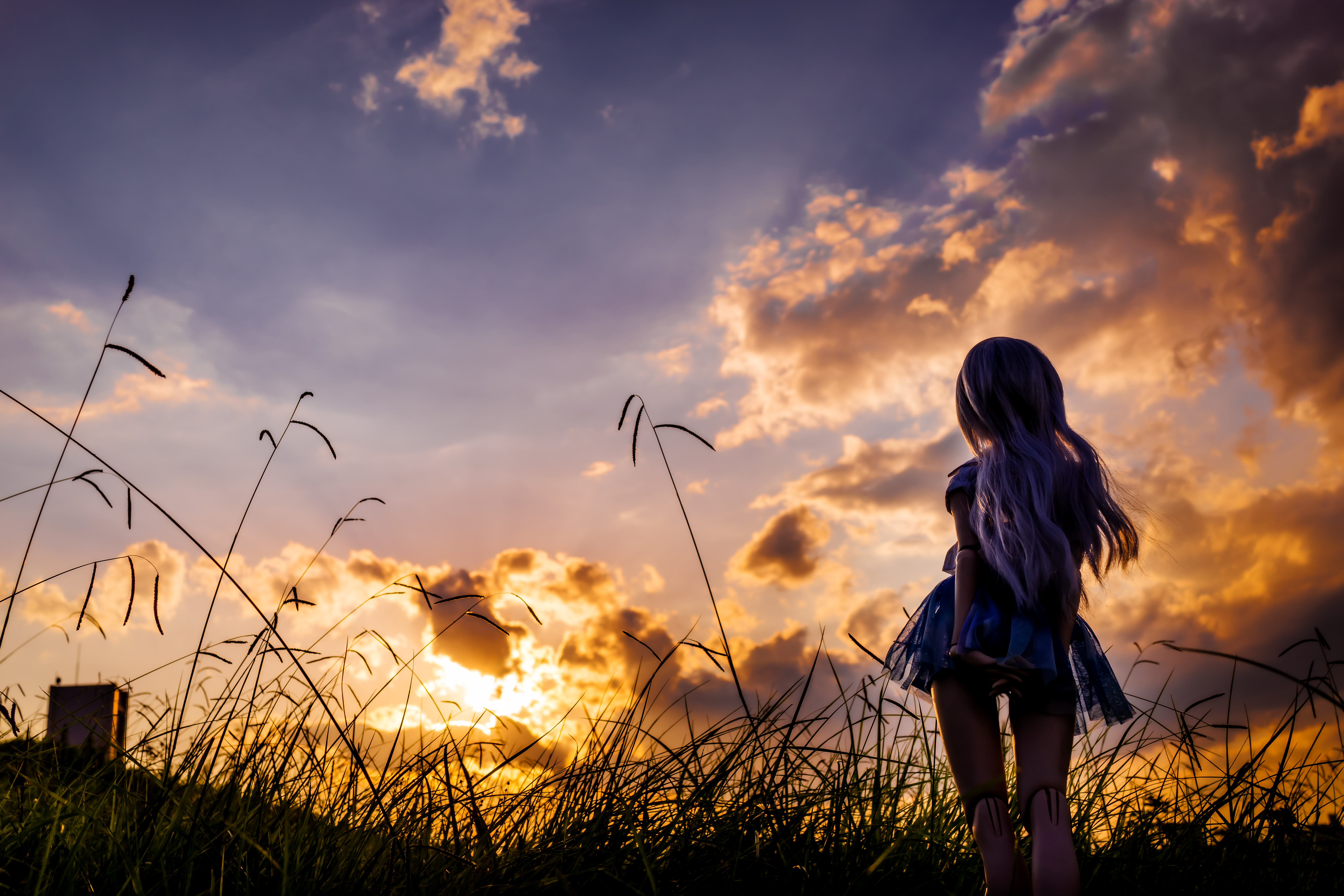 Wallpaper, sunlight, landscape, sunset, nature, sky, field, silhouette, sunrise, evening, morning, Sun, horizon, Sony, atmosphere, backlighting, dusk, happiness, spring, RX1R, cloud, tree, dawn, plant, girl, fun, dollfiedream, dd, prairie, computer