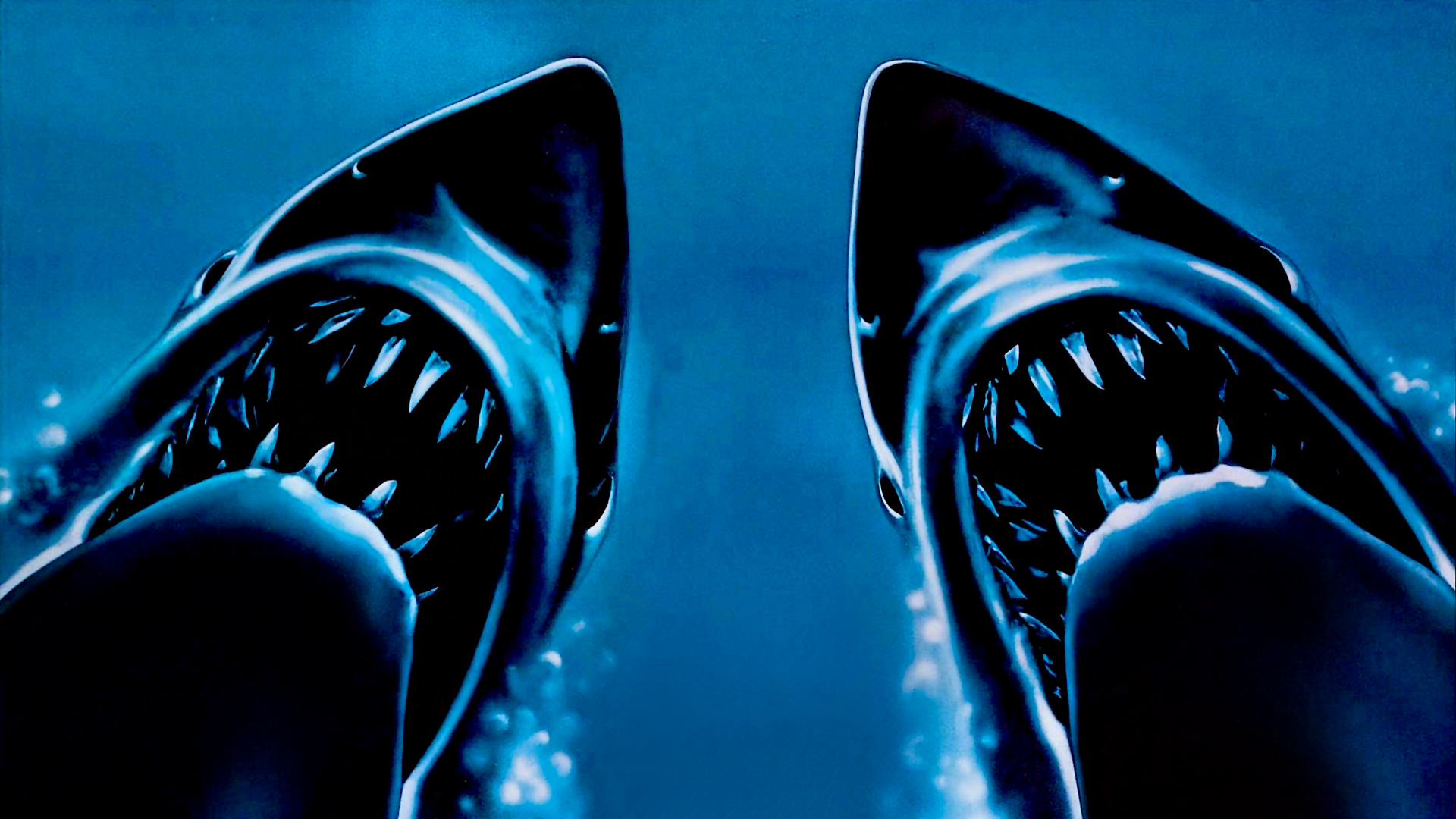 Jaws 2 HD Wallpaper and Background