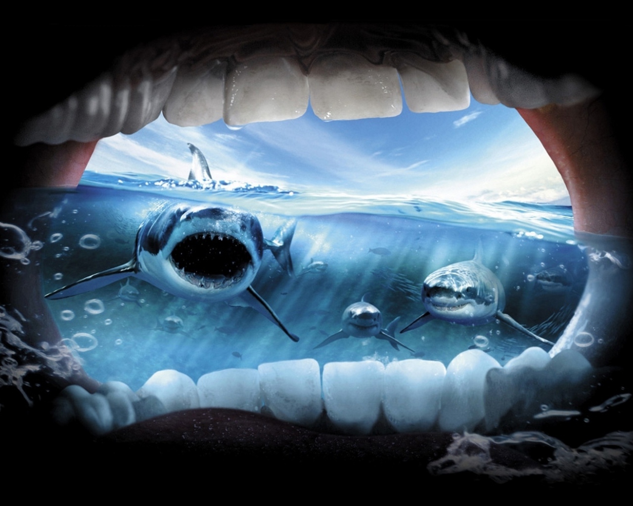 Jaws Wallpaper Widescreen