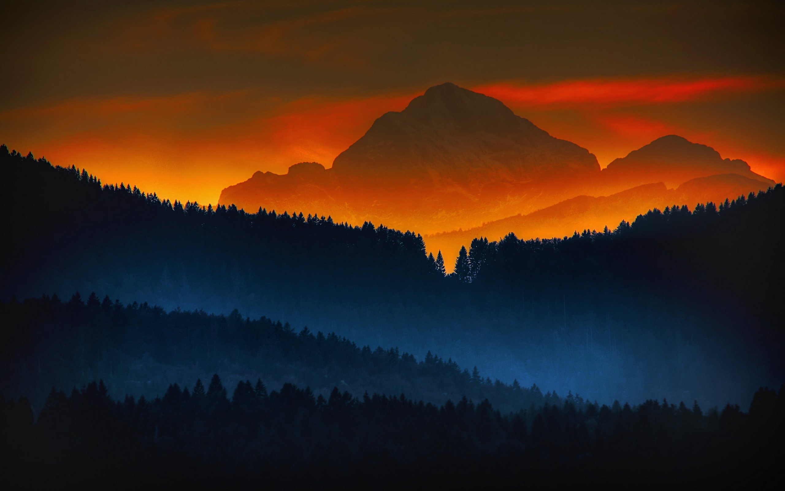 Wallpaper, 2560x1600 px, color, forest, landscape, mountains, nature, sunrise, sunset 2560x1600