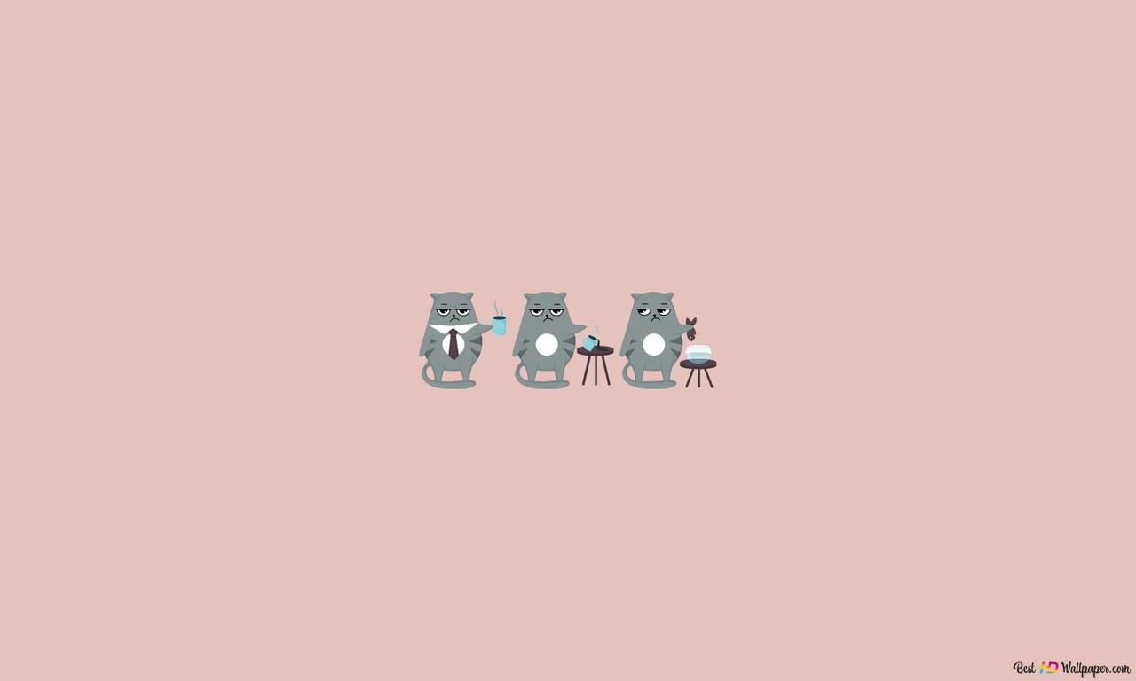 Grey Grumpy Cat, minimalist design HD wallpaper download
