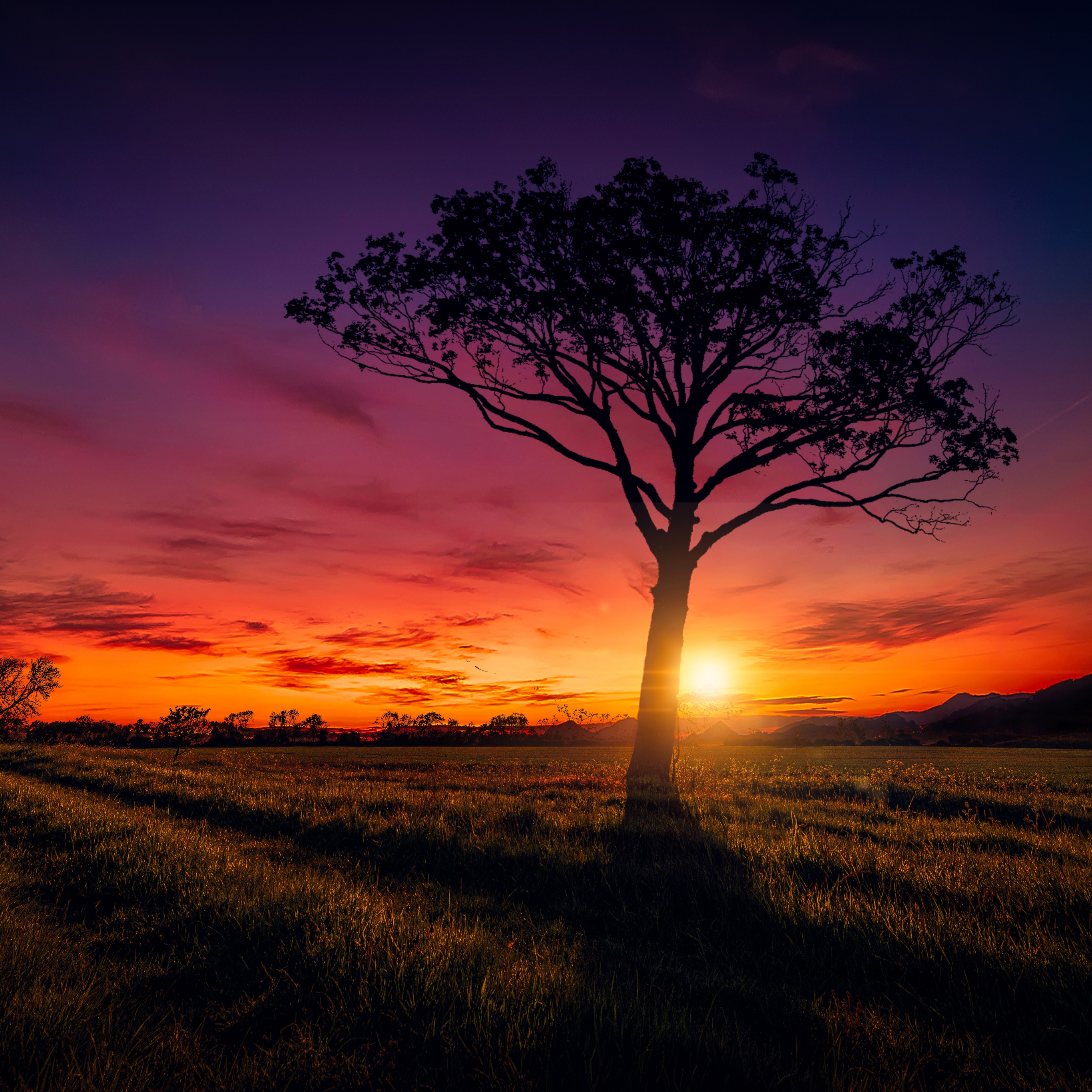 Sunset Wallpaper 4K, Orange sky, Landscape, Nature