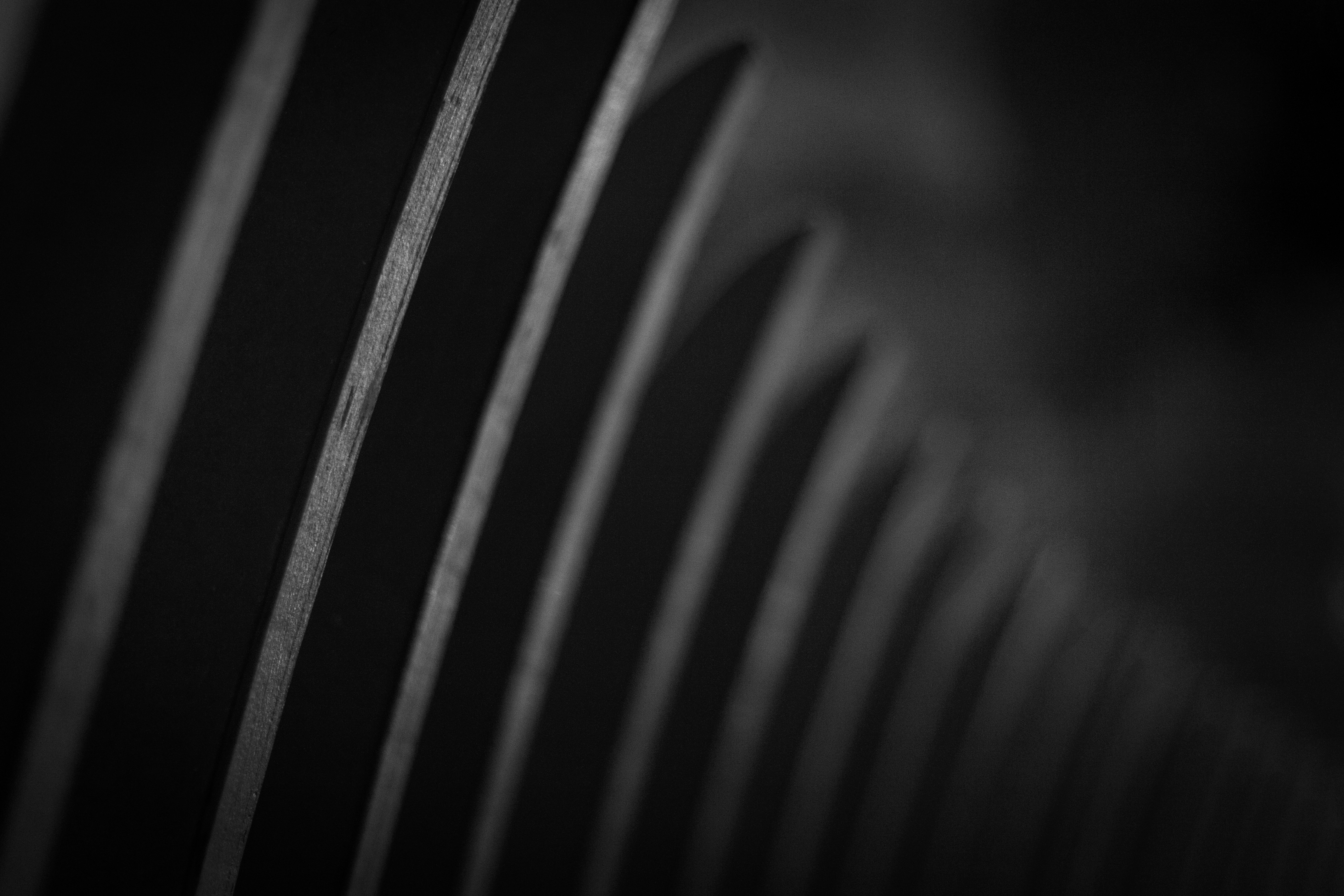 Wallpaper, blackandwhite, white, black, monochrome, composition, contrast, digital, Canon, rebel, design, gray, monotone, form, t3, shape, tones, Tone, 1100, 1100d 4272x2848