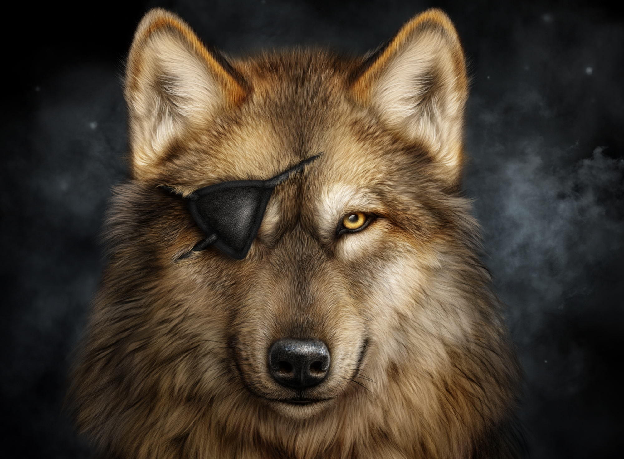 Eye Patch HD Wallpaper and Background