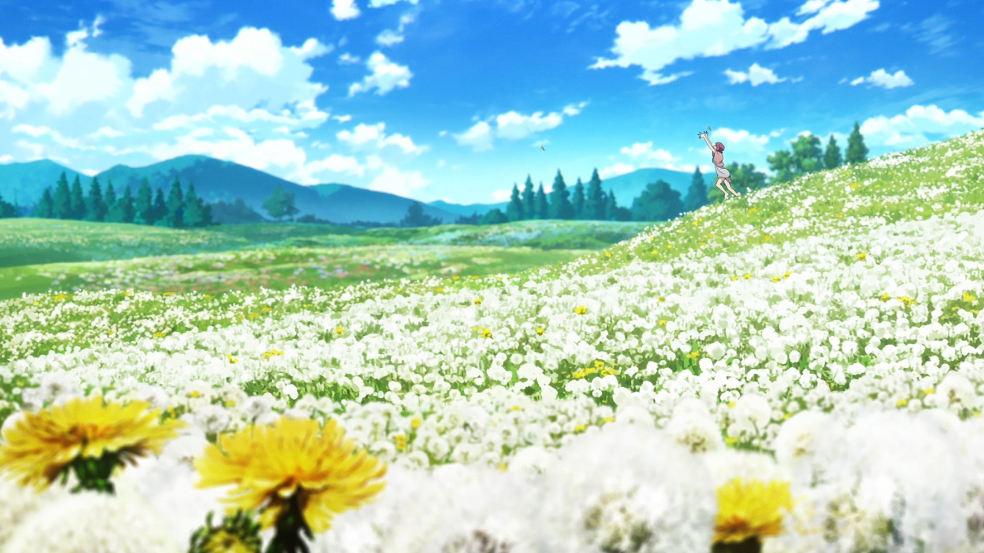 Anime Flower Field Wallpapers - Wallpaper Cave