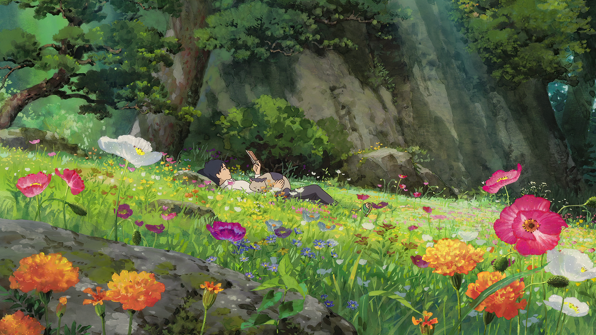 Field, Anime, Outdoors, Plants, Kari Gurashi No Arietti, Reading, Nature, Flowers, Colorful Gallery HD Wallpaper