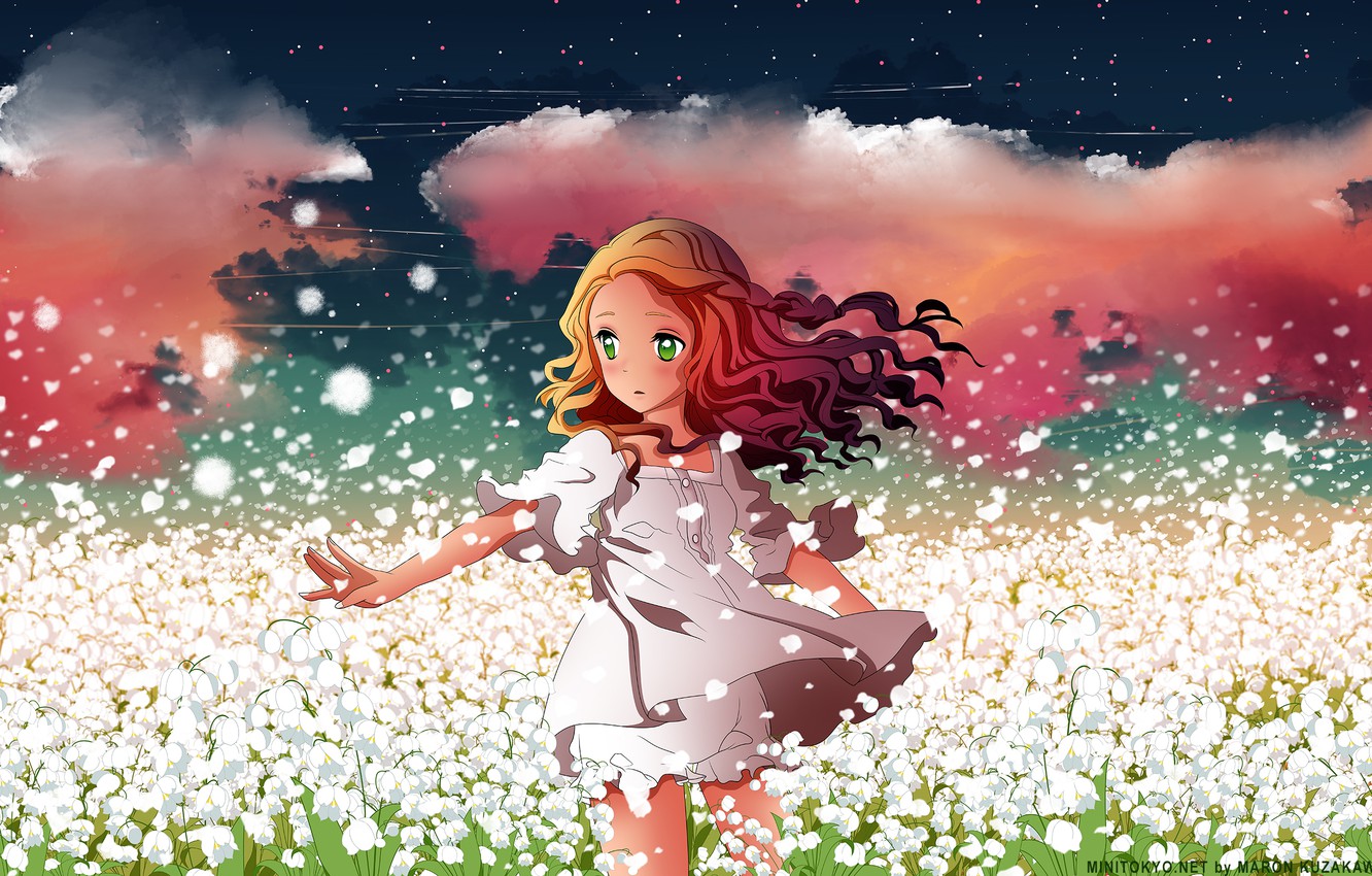 Wallpaper field, the sky, girl, stars, clouds, flowers, anime, petals, art, h2so kuzakawe maron image for desktop, section сёдзё