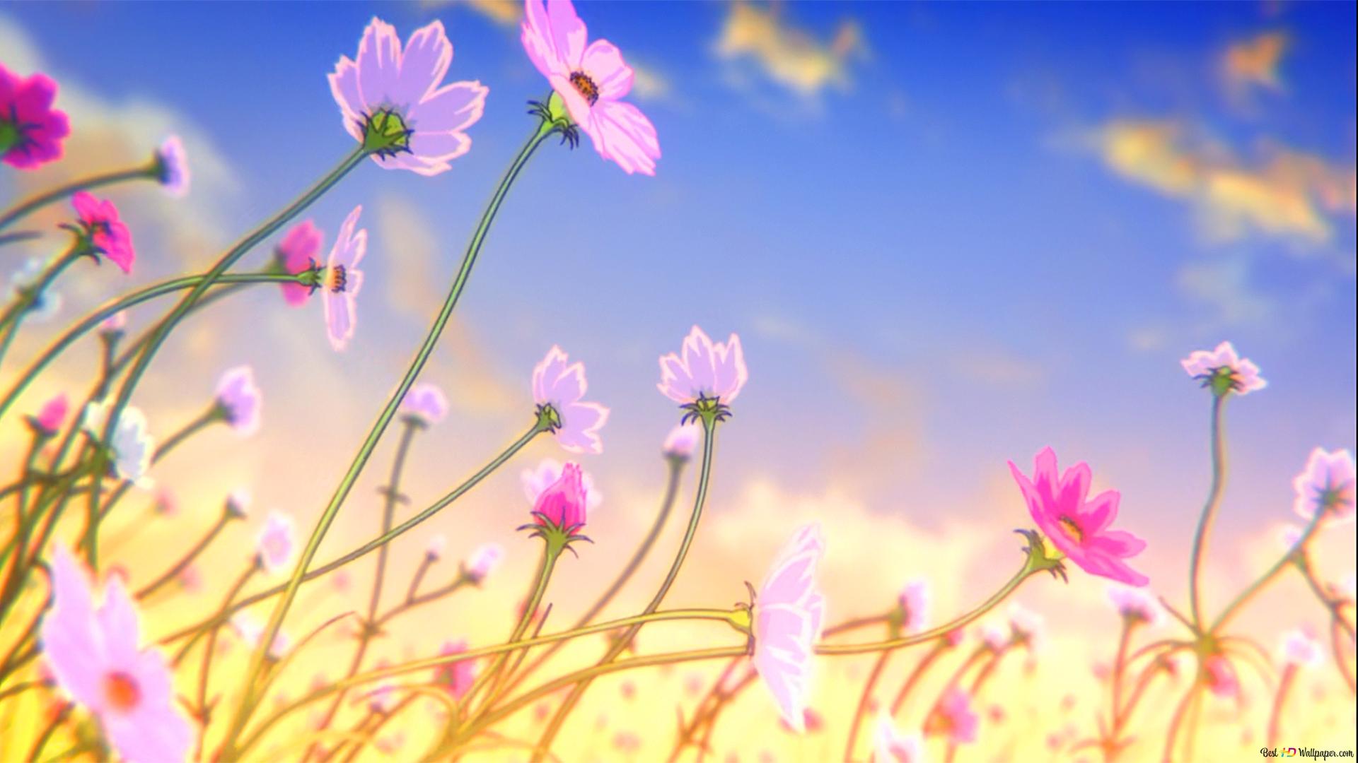Flower Garden HD wallpaper download
