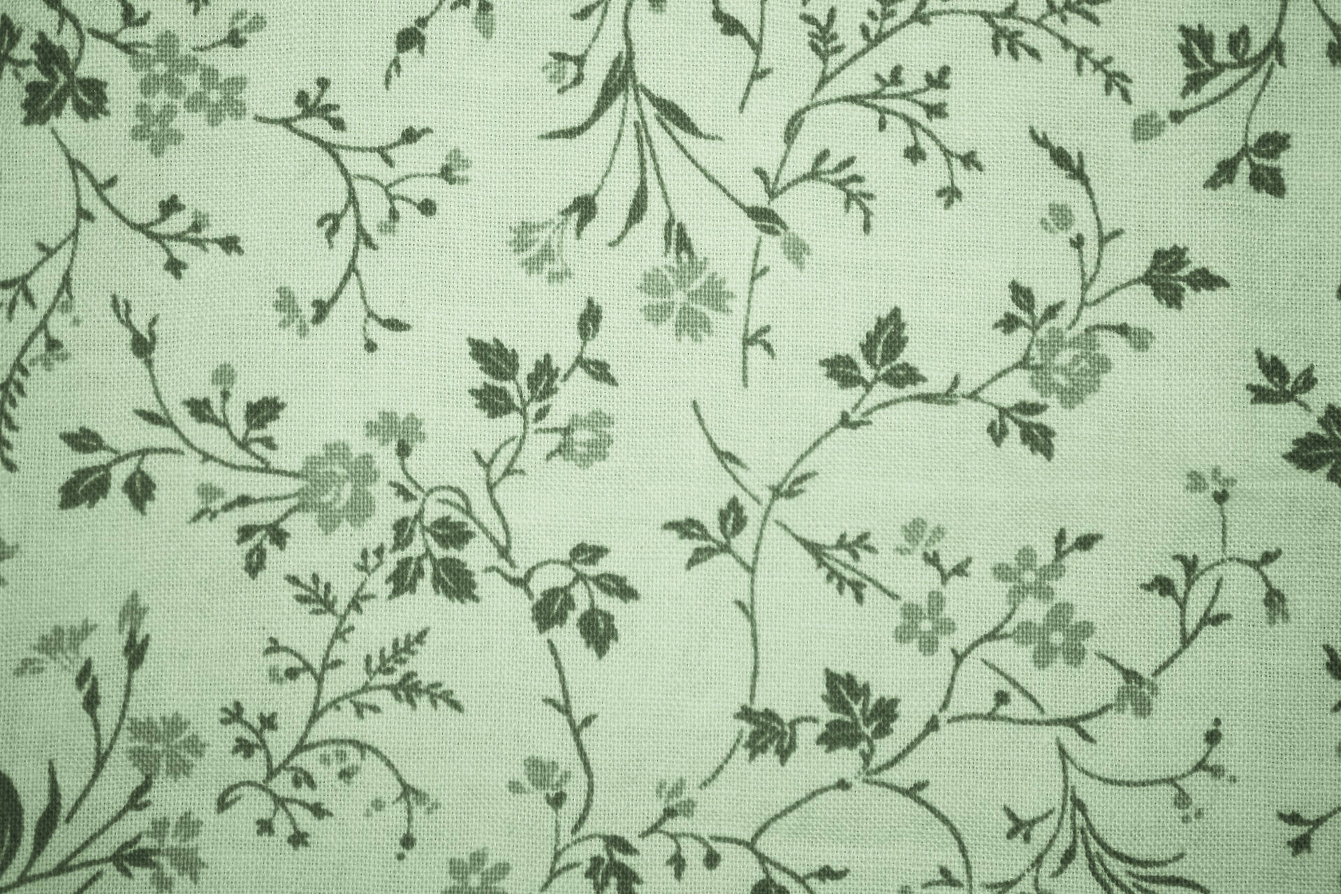 Free Sage Green Wallpaper Downloads, Sage Green Wallpaper for FREE