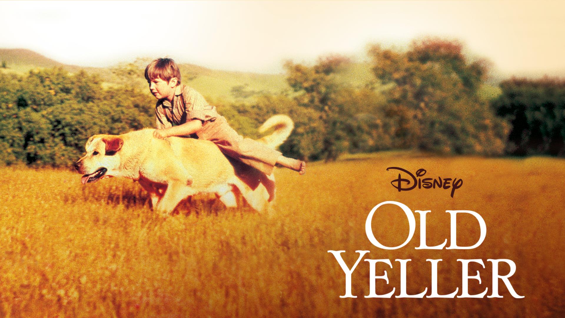 Old Yeller Wallpapers - Wallpaper Cave