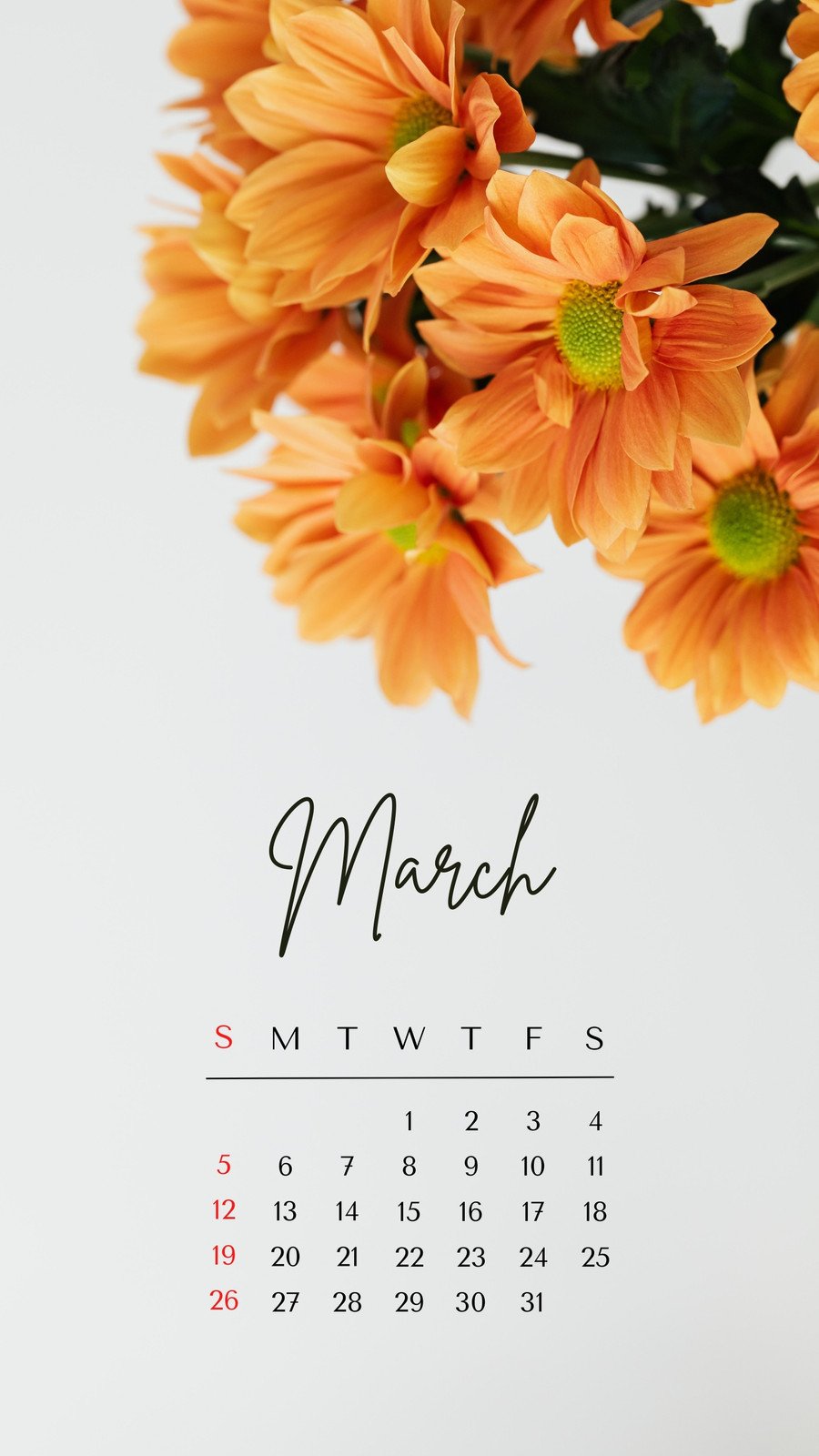 Spring Aesthetic Phone Wallpaper Online