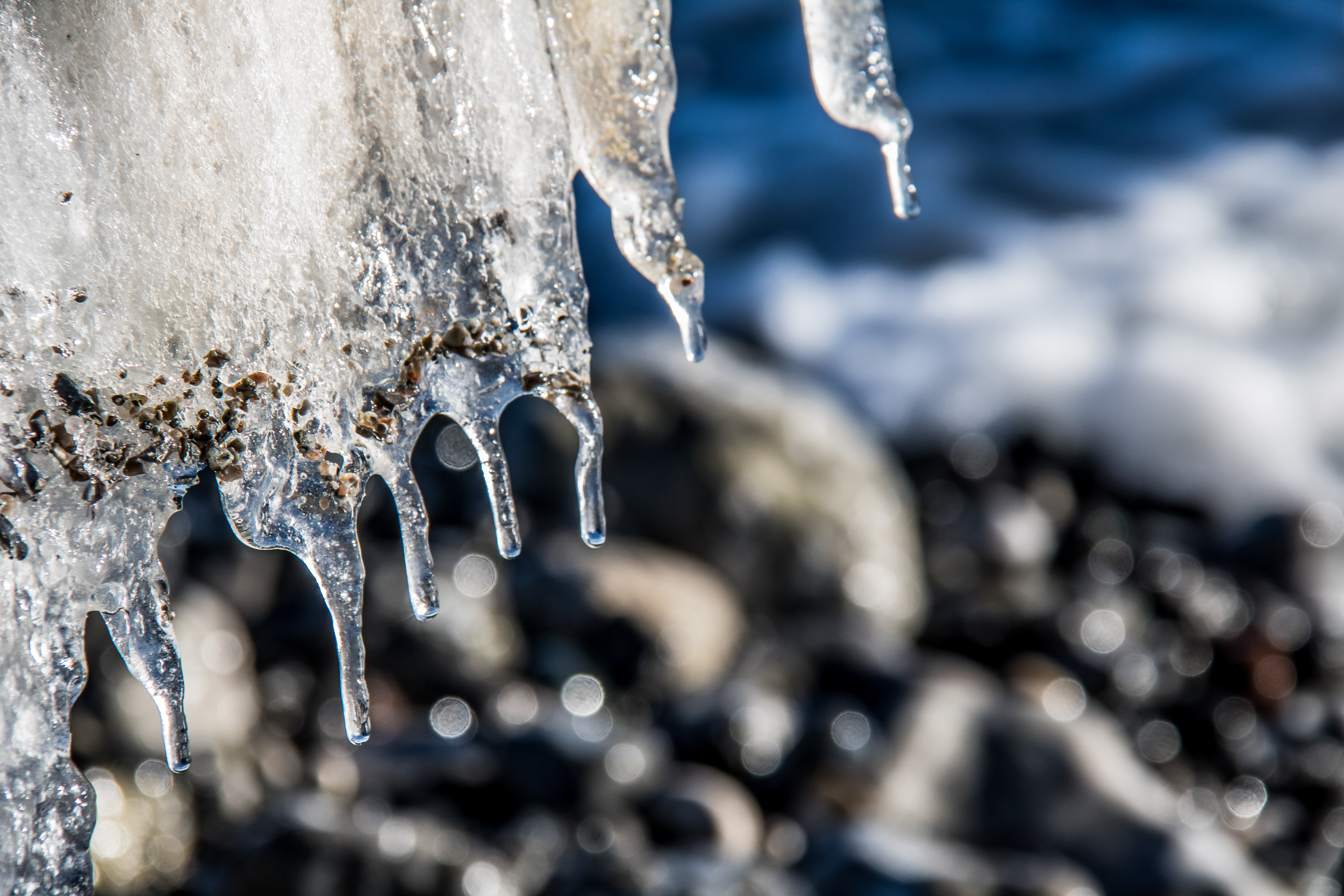 Wallpaper, sea, water, nature, snow, winter, branch, blue, ice, frost, icicle, spring, Freezing, melting, leaf, weather, is, season, vinter, hav, smygehamn, close up, macro photography 6000x4000