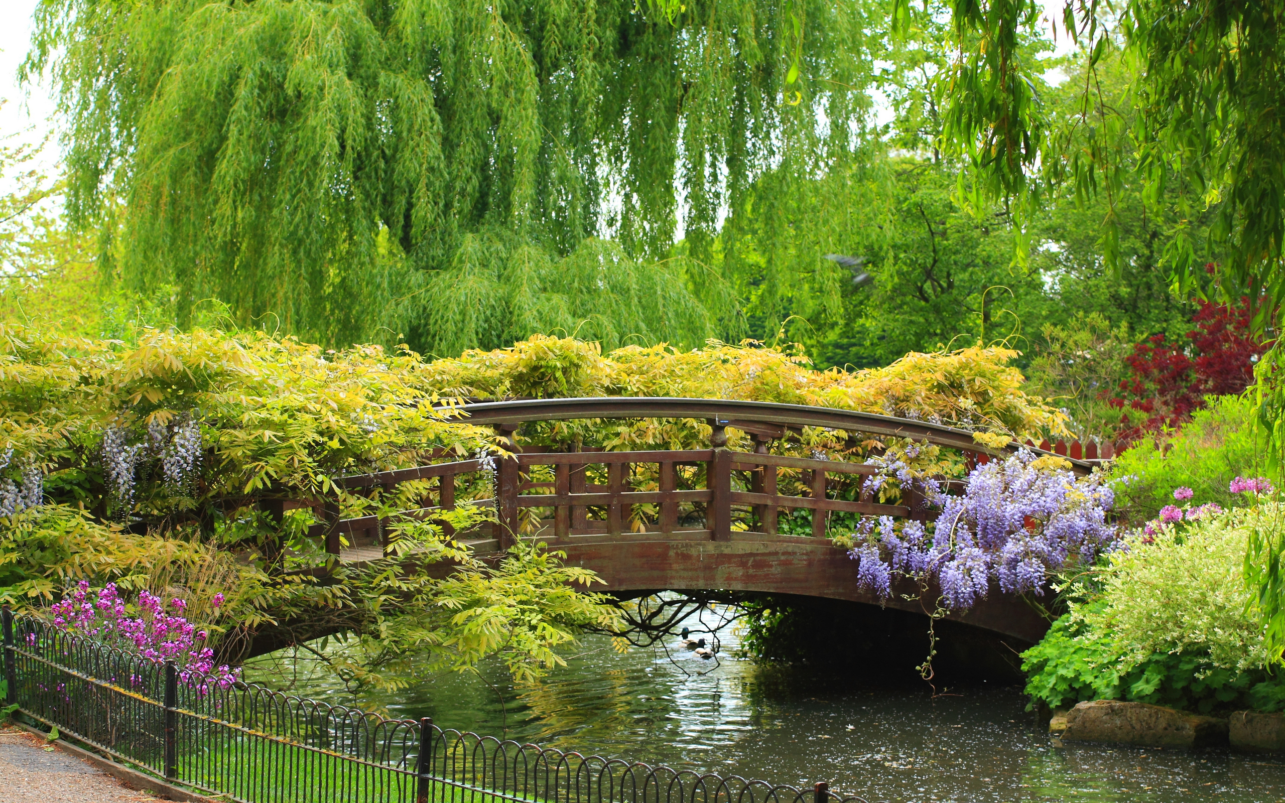 HD desktop wallpaper: Bridges, Flower, Bridge, Garden, Spring, Man Made download free picture