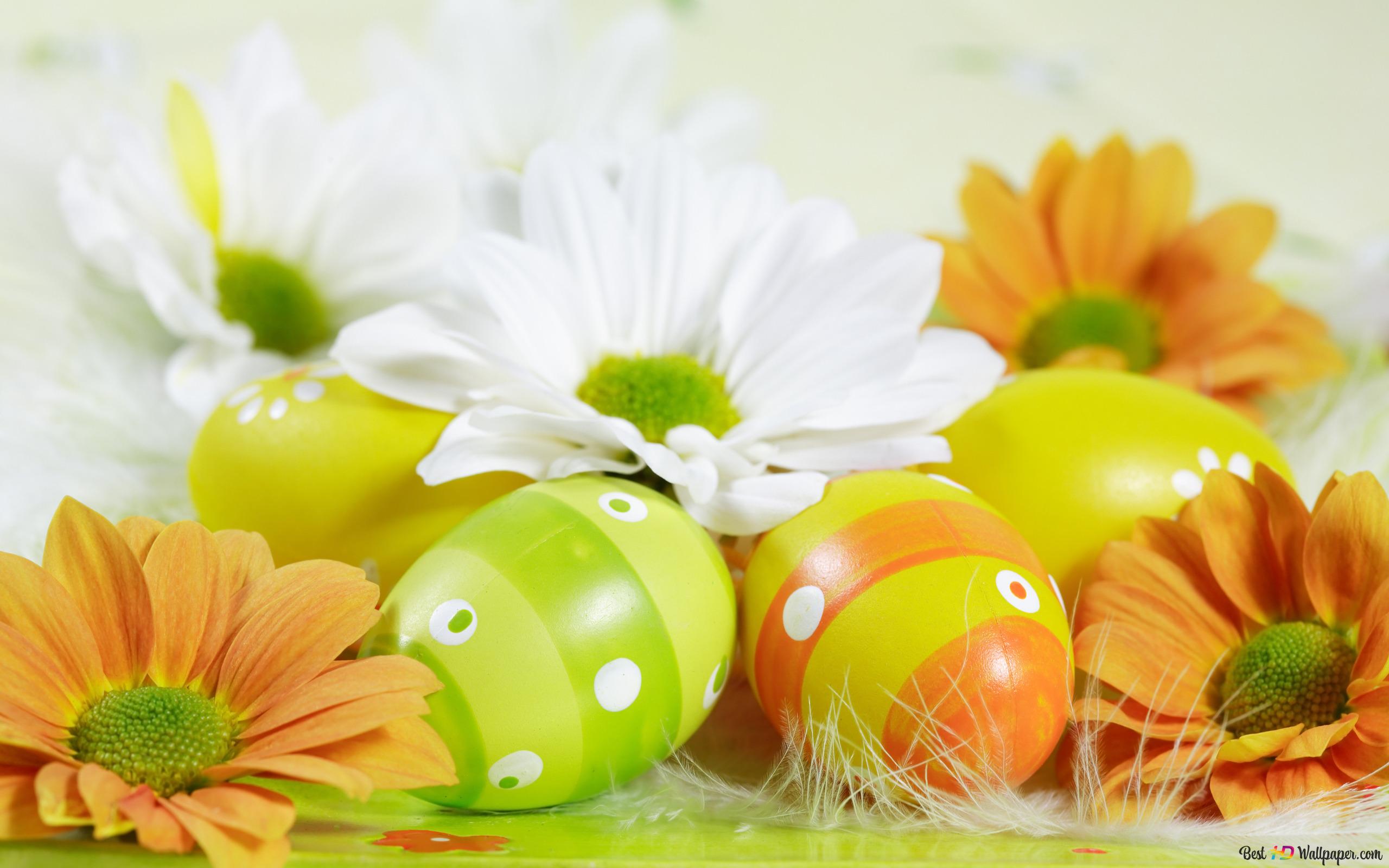White and orange flowers and Easter eggs 2K wallpaper download