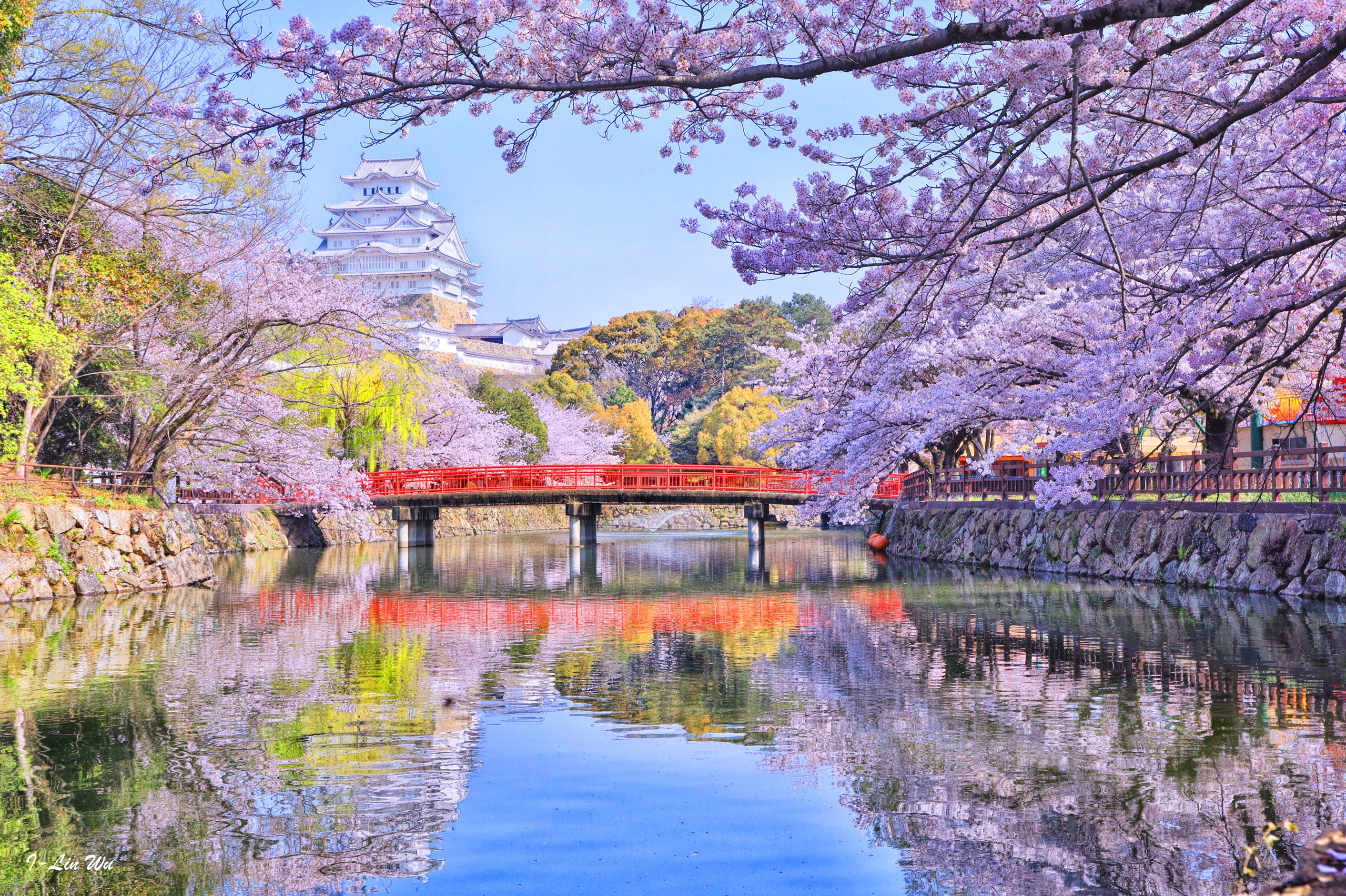 Japan, Tokyo, Rivers, Bridges, Spring, Flowering trees Gallery HD Wallpaper