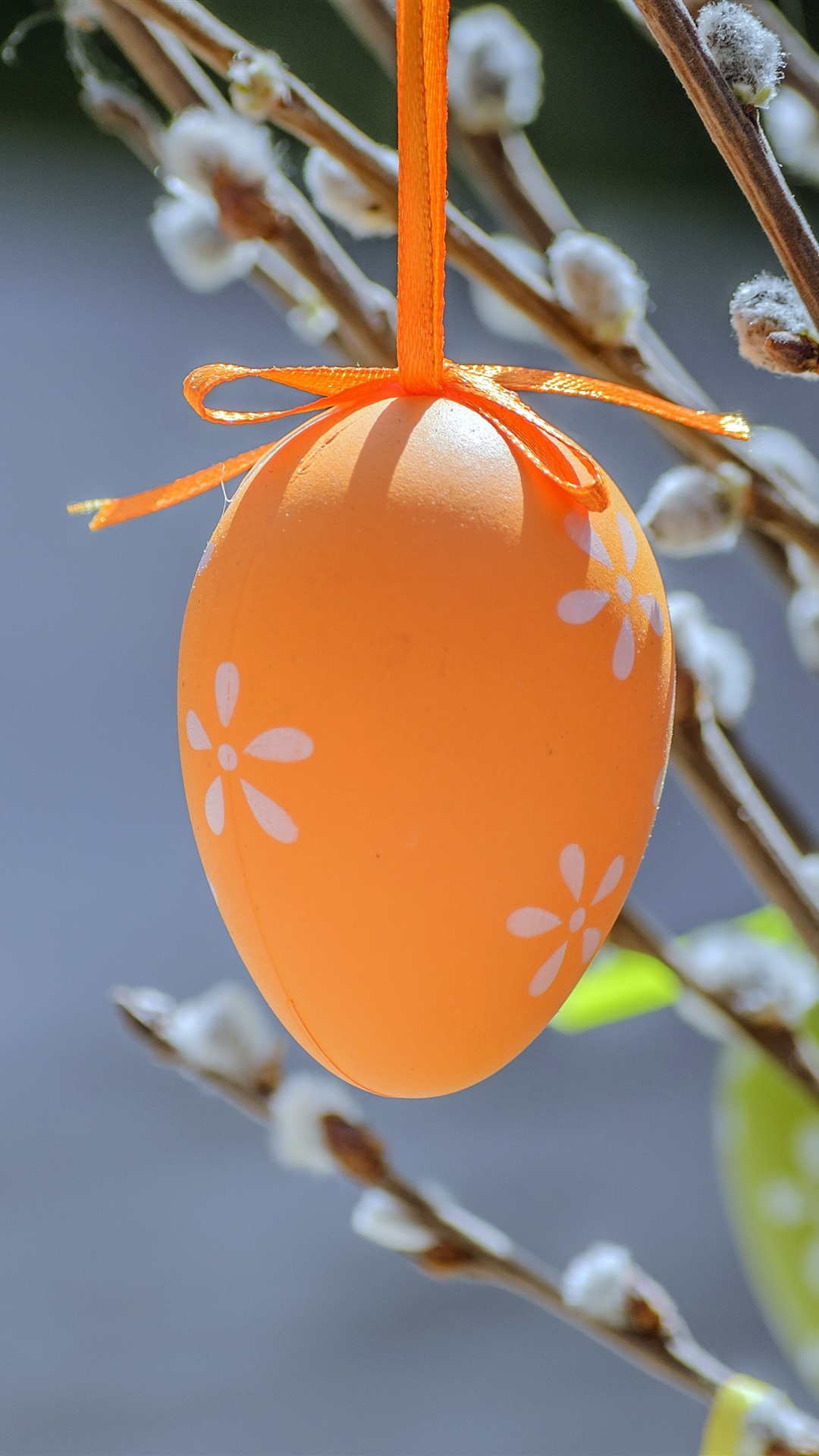 Orange Easter Egg, Twigs 1242x2688 IPhone 11 Pro XS Max Wallpaper, Background, Picture, Image