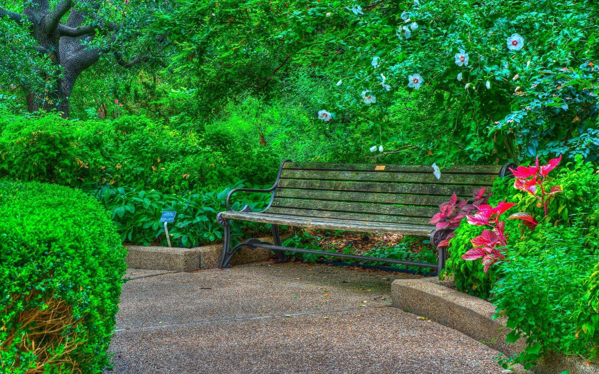 Bench in Spring Park Wallpaper Background Image. View, download, comment, and rate. Hdr picture, Dslr background image, Background image