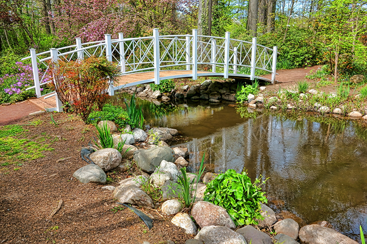 Photos Spring Nature Bridges park Pond stone Seasons