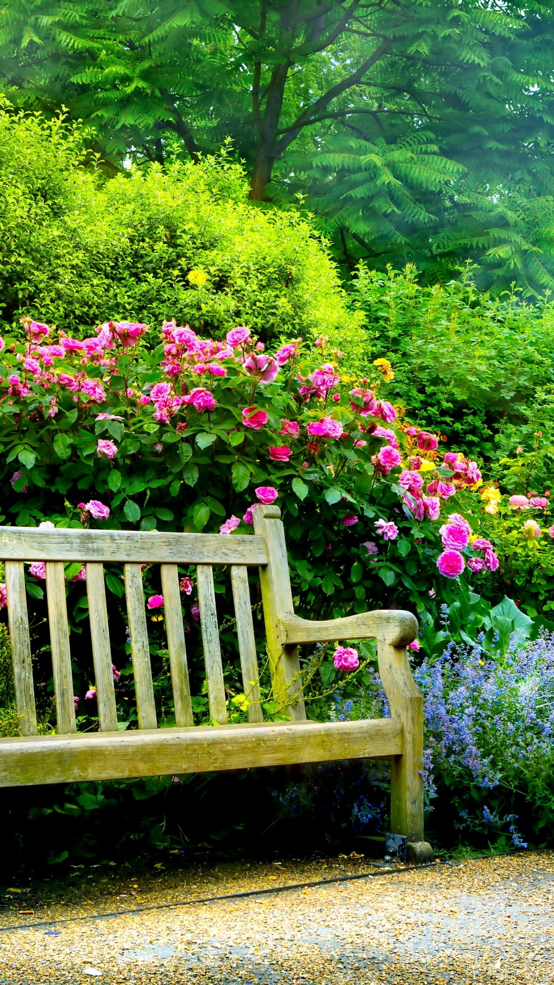 Old Bench On Nature Wallpapers Full HD Desktop Background