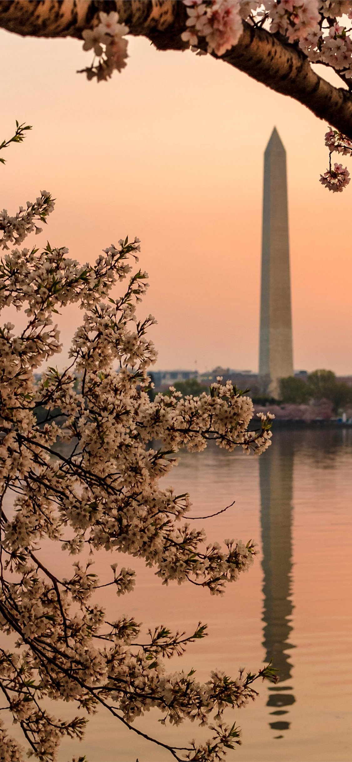 Best Washington dc iPhone HD Wallpaper