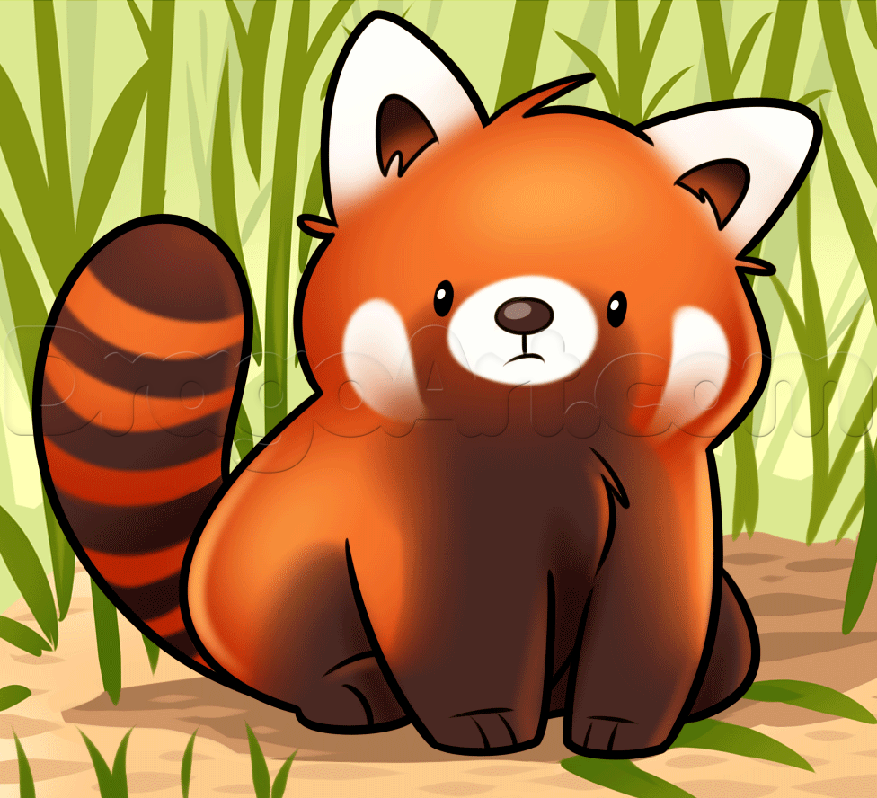 Red Panda, Step by Step, forest animals, Animals, FREE Online Drawing Tutorial, Added by Dawn, May. Panda drawing, Panda art, Cute panda drawing