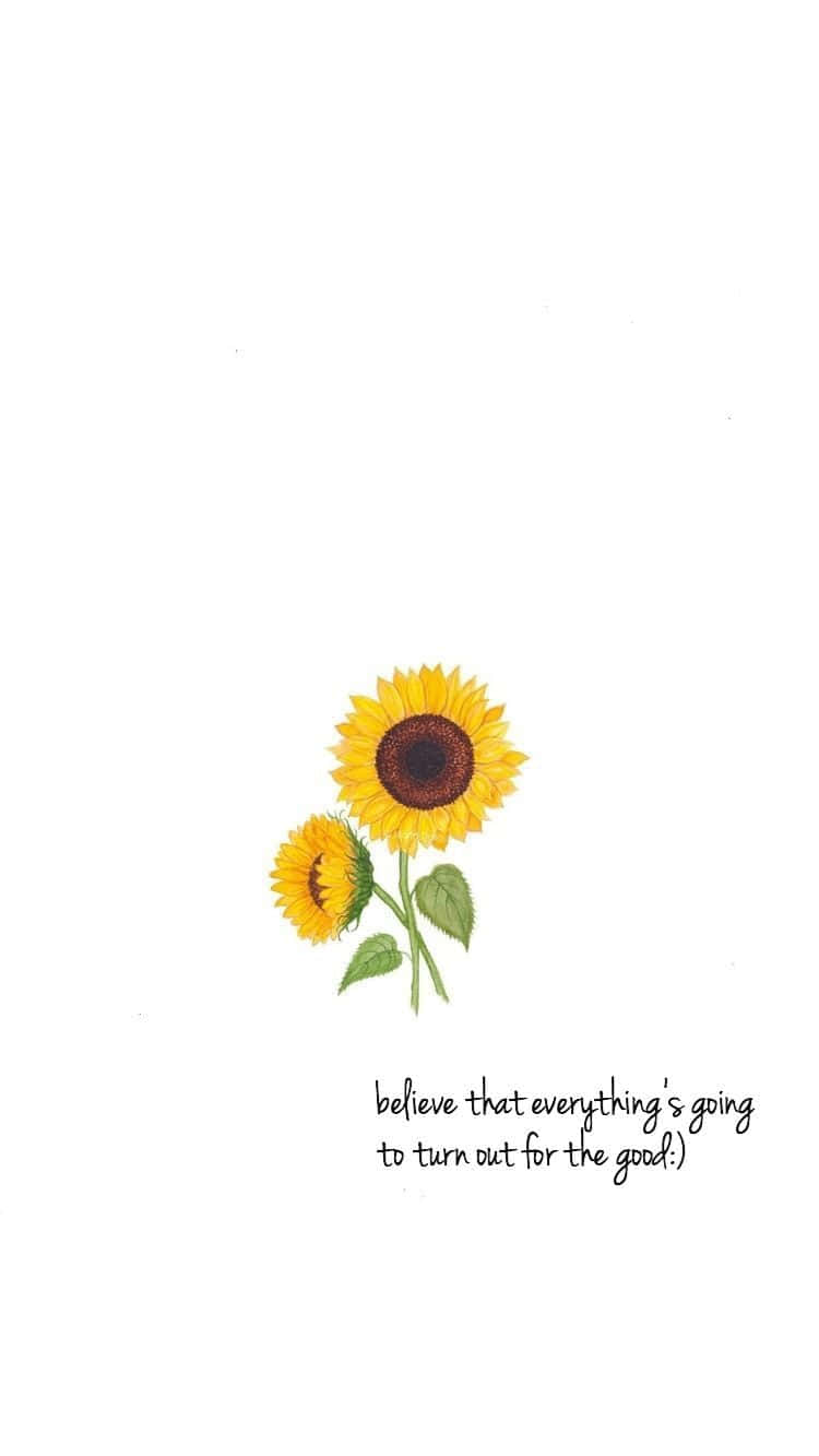 Download Minimalist Sunflower Quotes Wallpaper