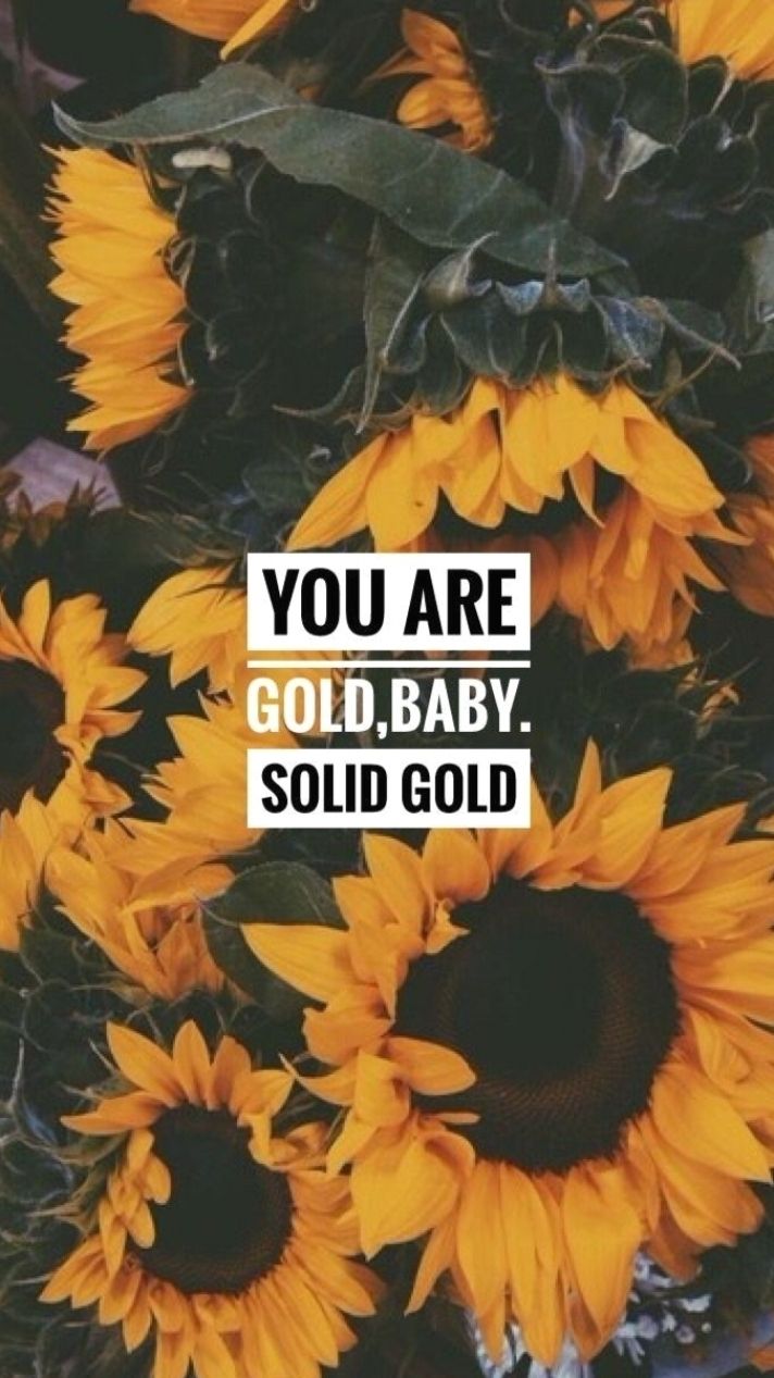 Quotes you're GOLD. Sunflower iphone wallpaper, Sunflower wallpaper, Sunflower picture