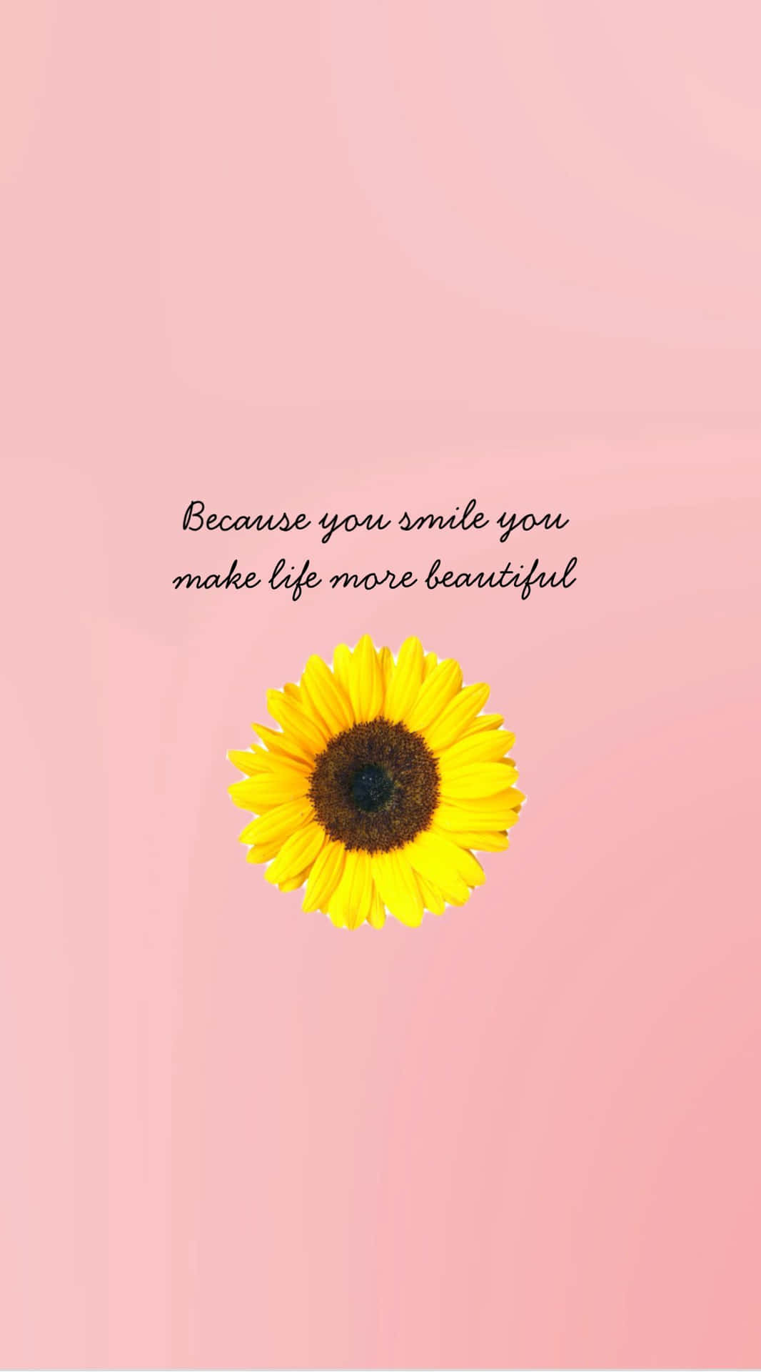 Download Aesthetic Peach Sunflower Quotes Wallpaper