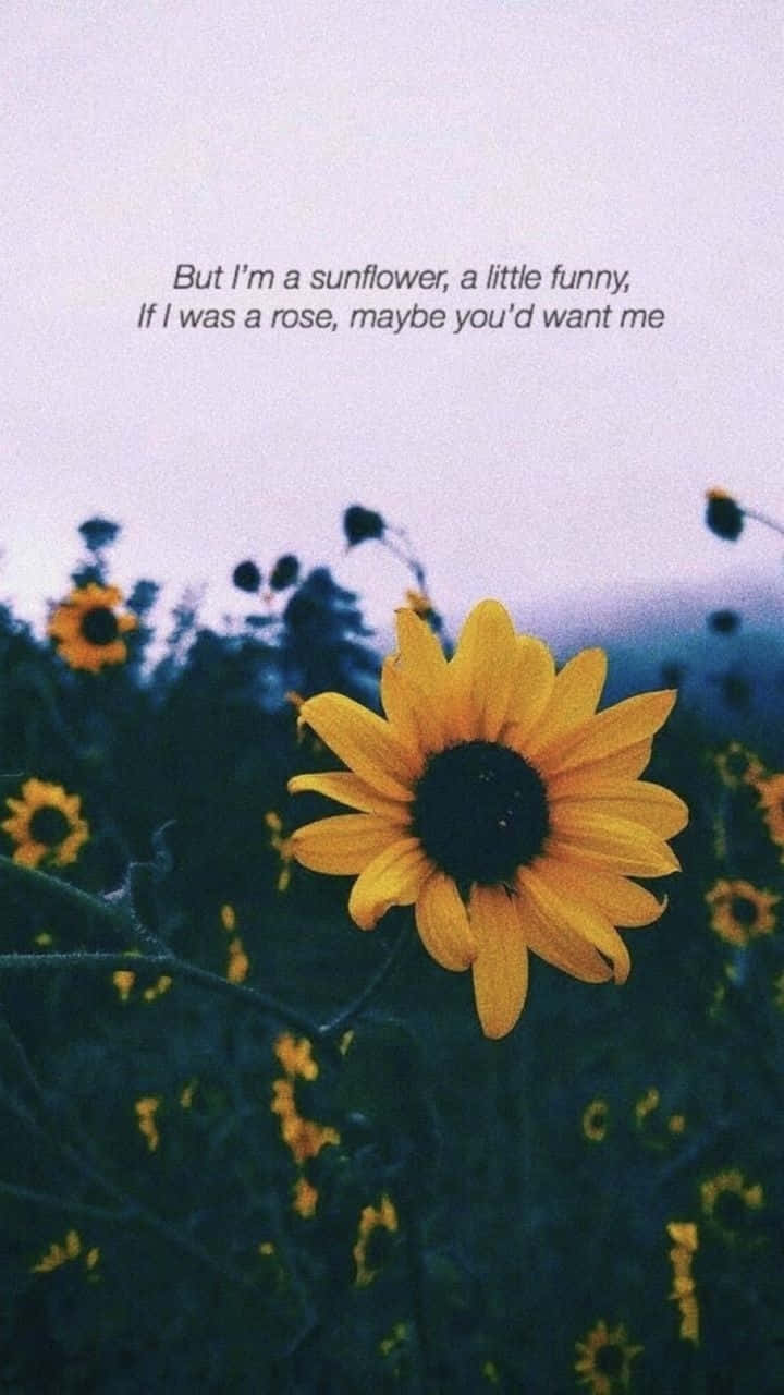 Download Sunflower Quotes Wallpaper