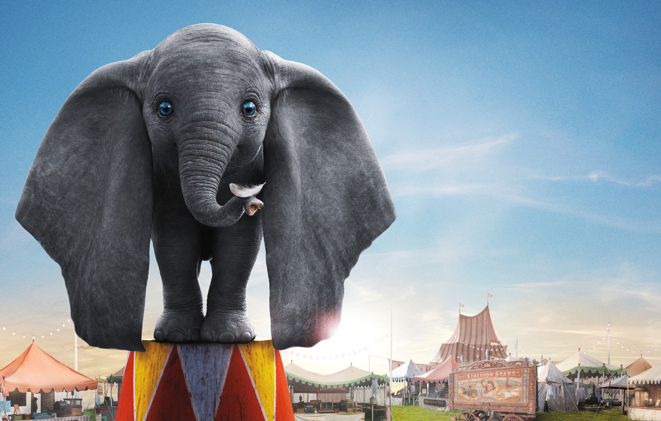 Wallpaper eyes, elephant, circus, ears, trunk, elephant, Dumbo, Dumbo image for desktop, section фильмы