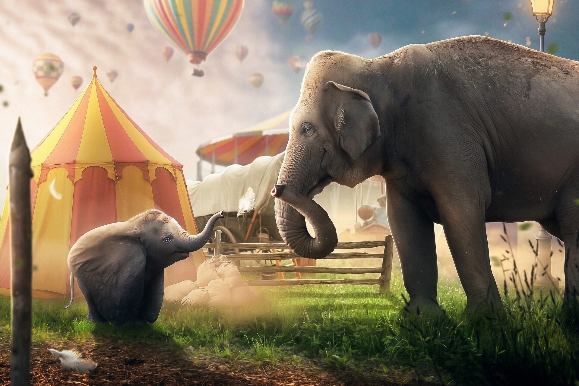 Dumbo HD Wallpaper