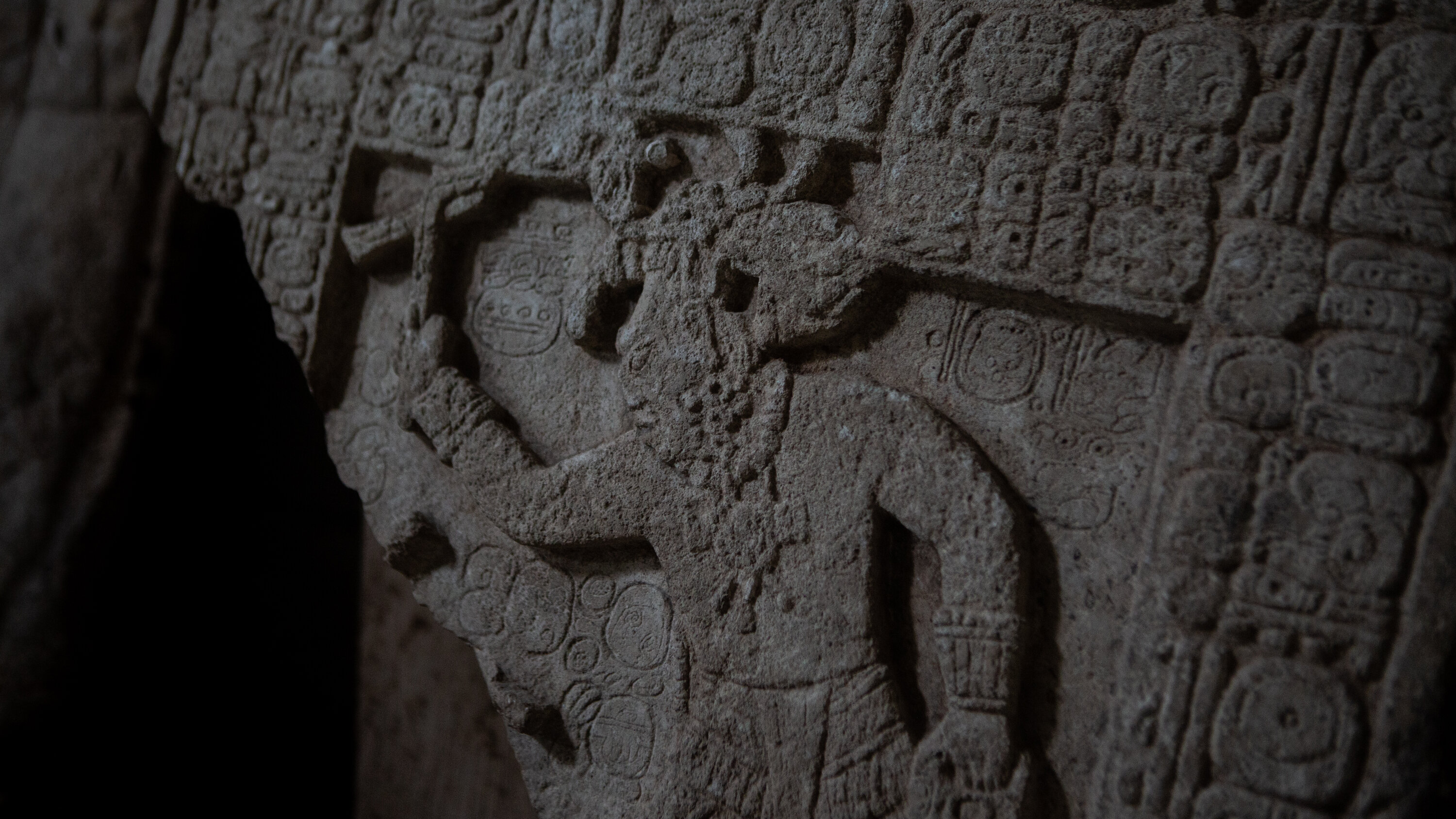 Unearthing a Maya Civilization That 'Punched Above Its Weight'