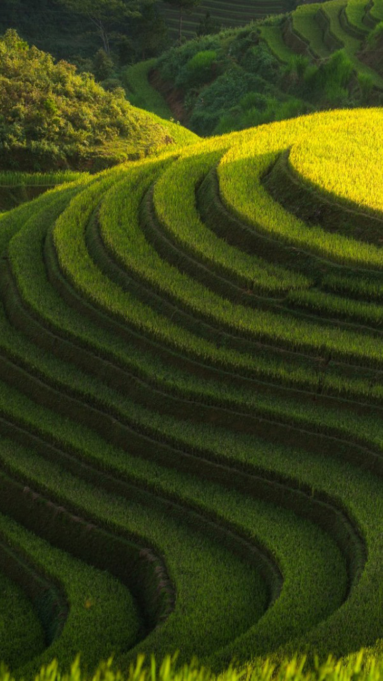 Green Farm Wallpapers - Wallpaper Cave