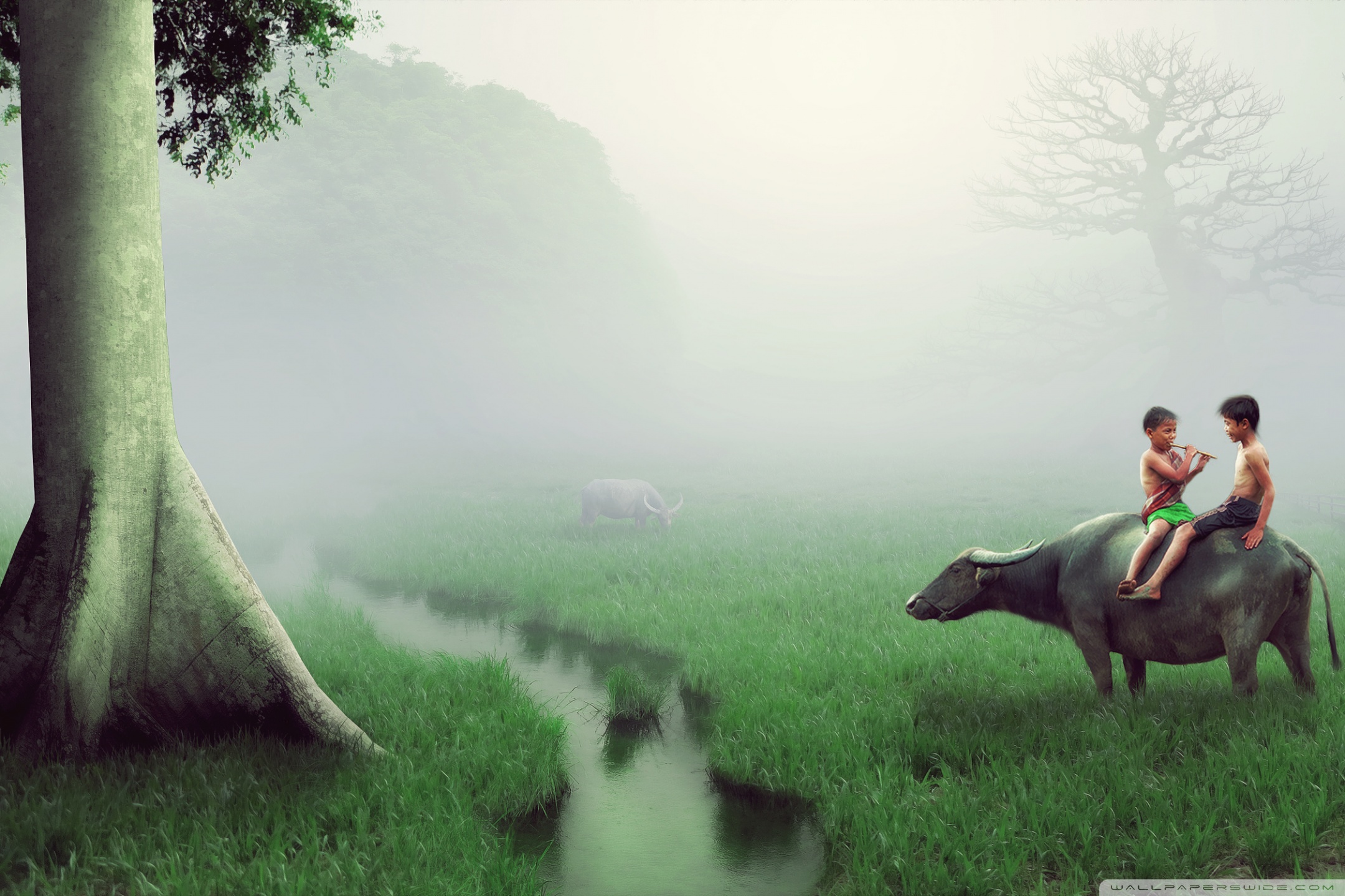 Green Farm Wallpapers - Wallpaper Cave