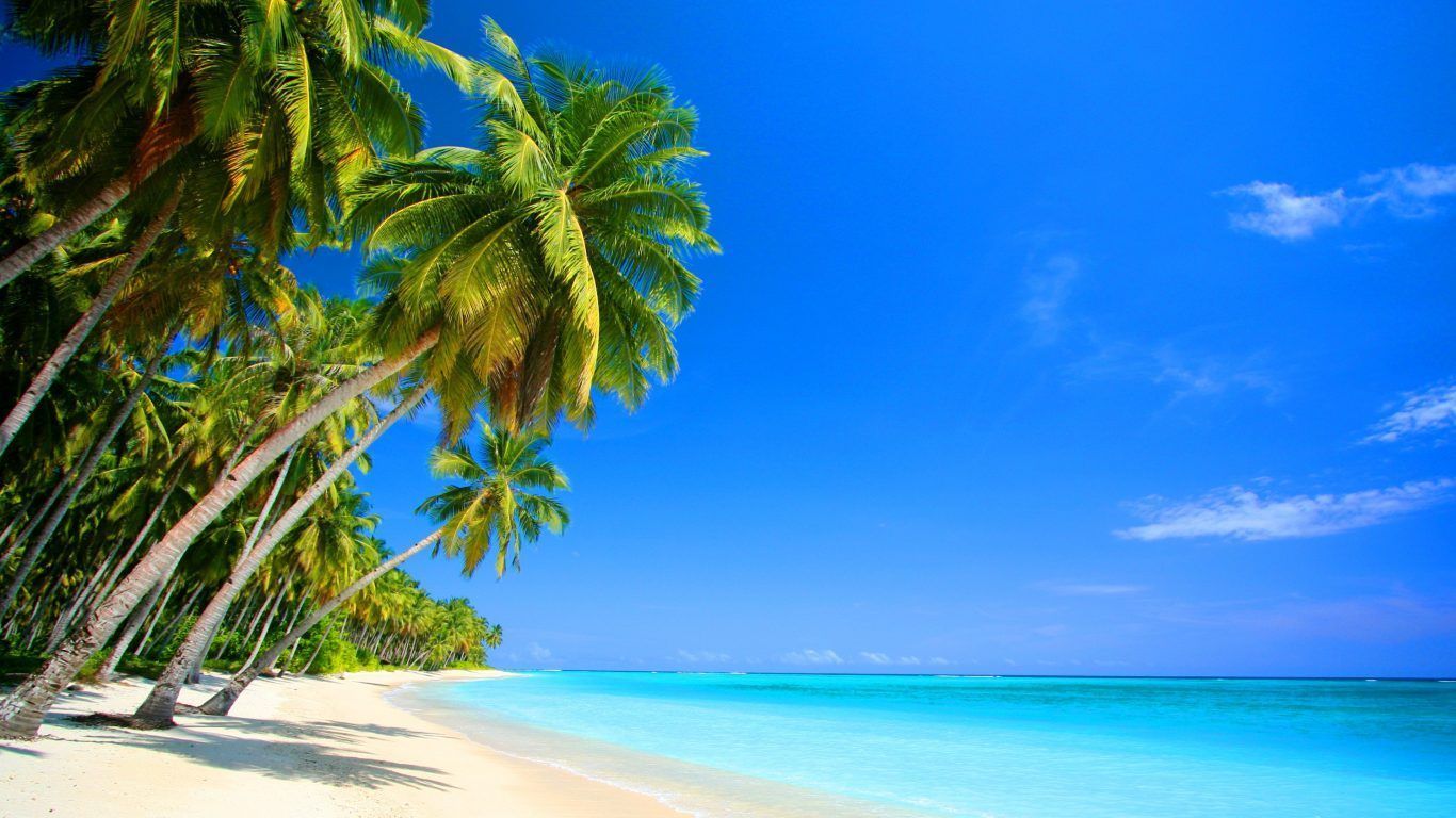 Cancun Beach Desktop Wallpaper - Beach landscape, Palm trees wallpaper, Tree wallpaper