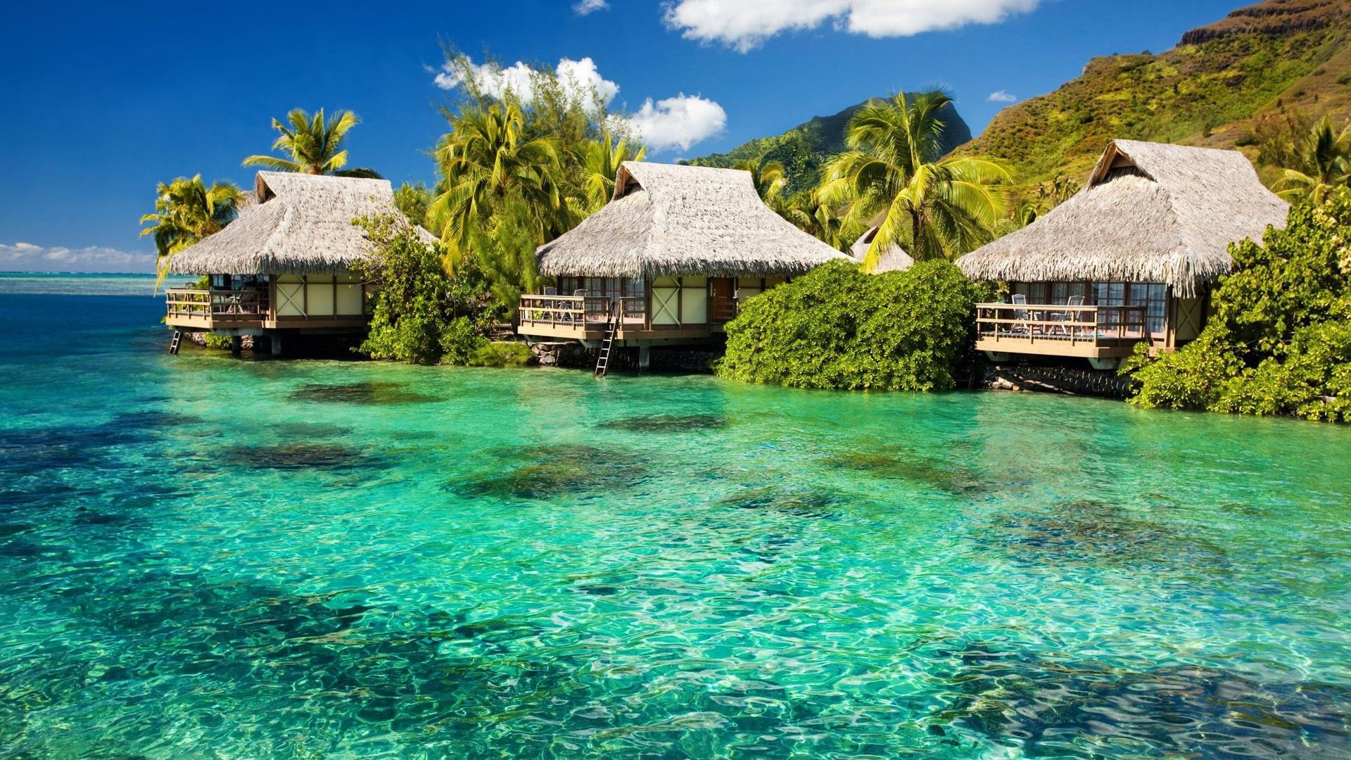 Water Bungalows On A Tropical Island Island Travel Landscape Photography Desktop Wallpaper