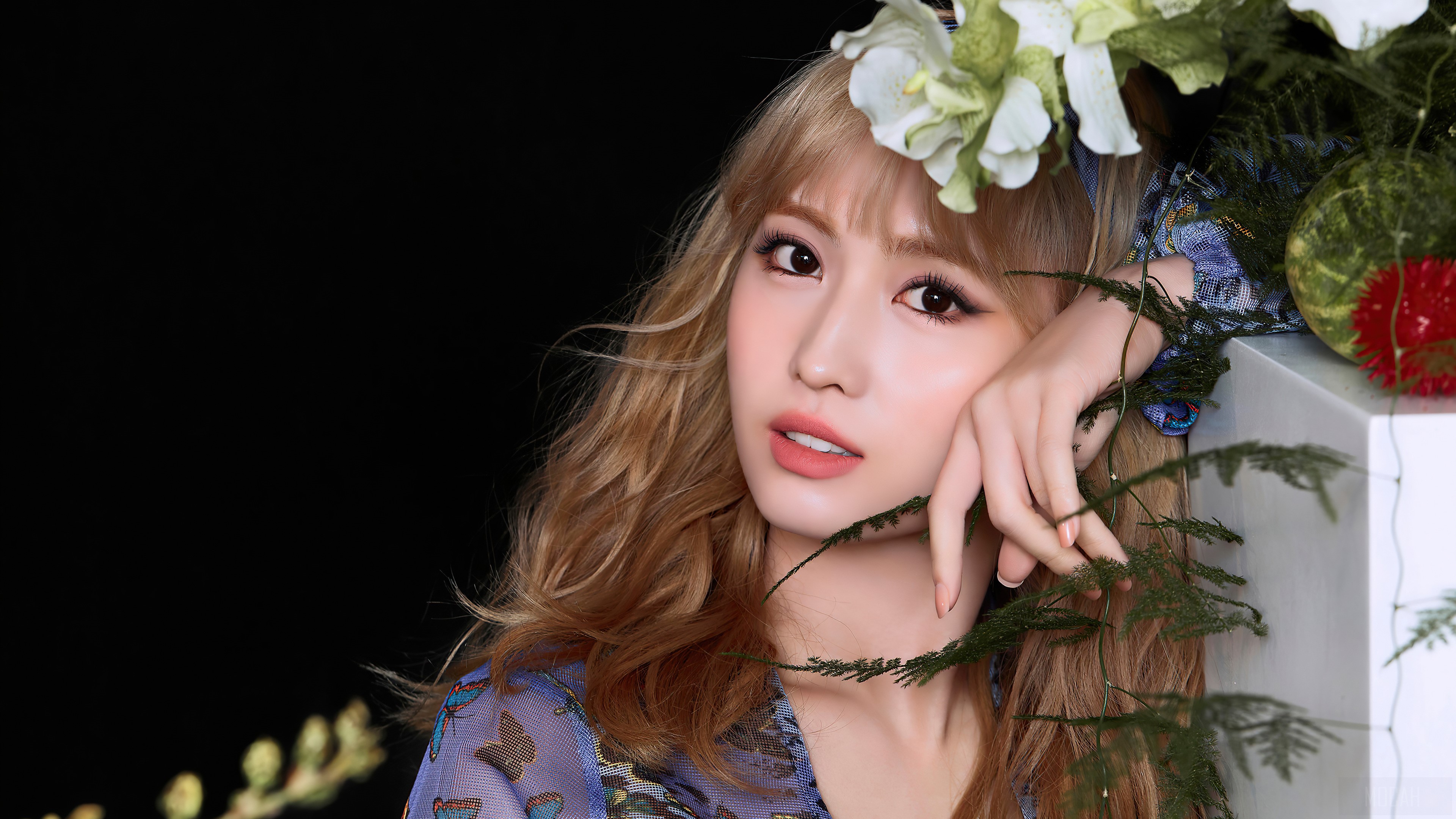 Momo 1080P, 2k, 4k HD wallpaper, background free download