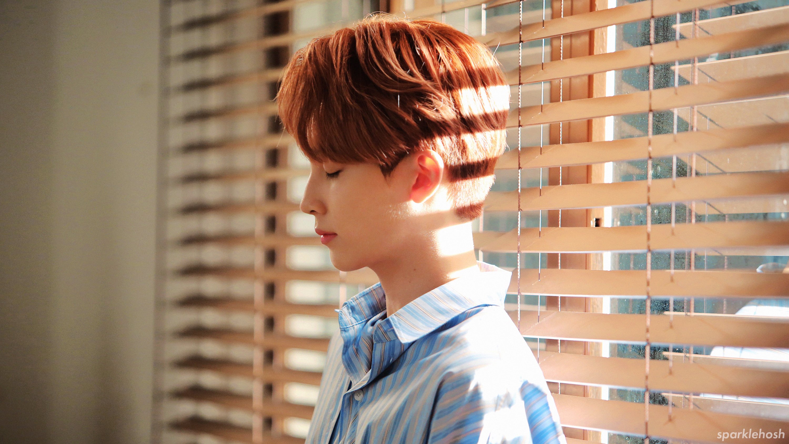 dindin wallpaper #JEONGHAN #정한 #HOSHI #호시 #WONWOO #원우 #SEVENTEEN