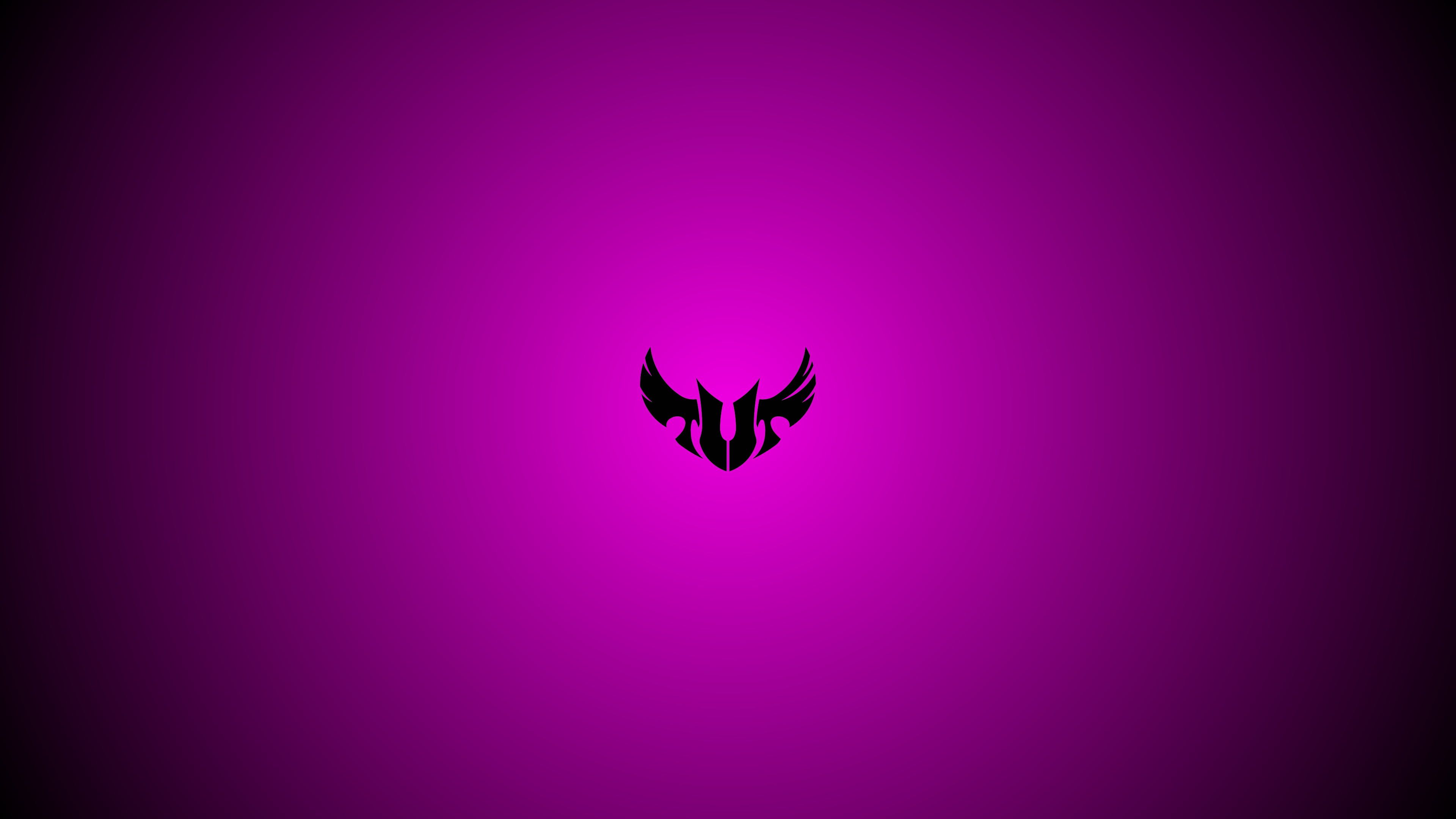 HD wallpaper: ASUS, TUF, neon