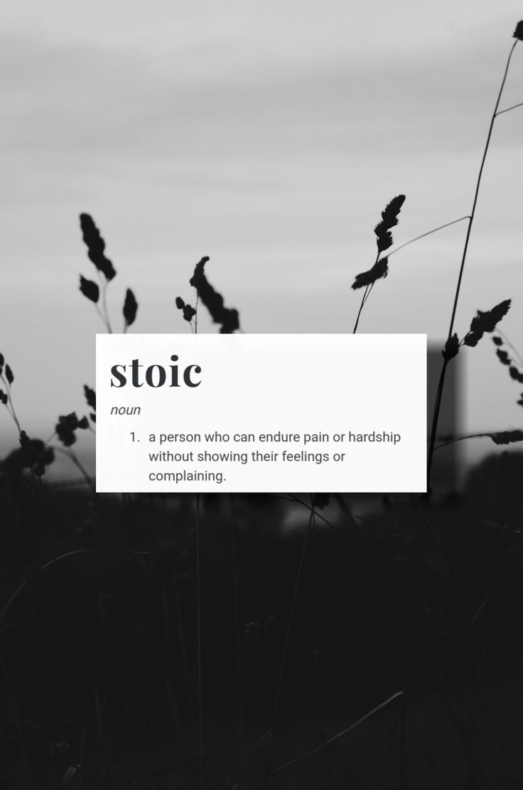 Stoic Aesthetic Wallpaper. Stoicism quotes, Stoic, Stoic quotes