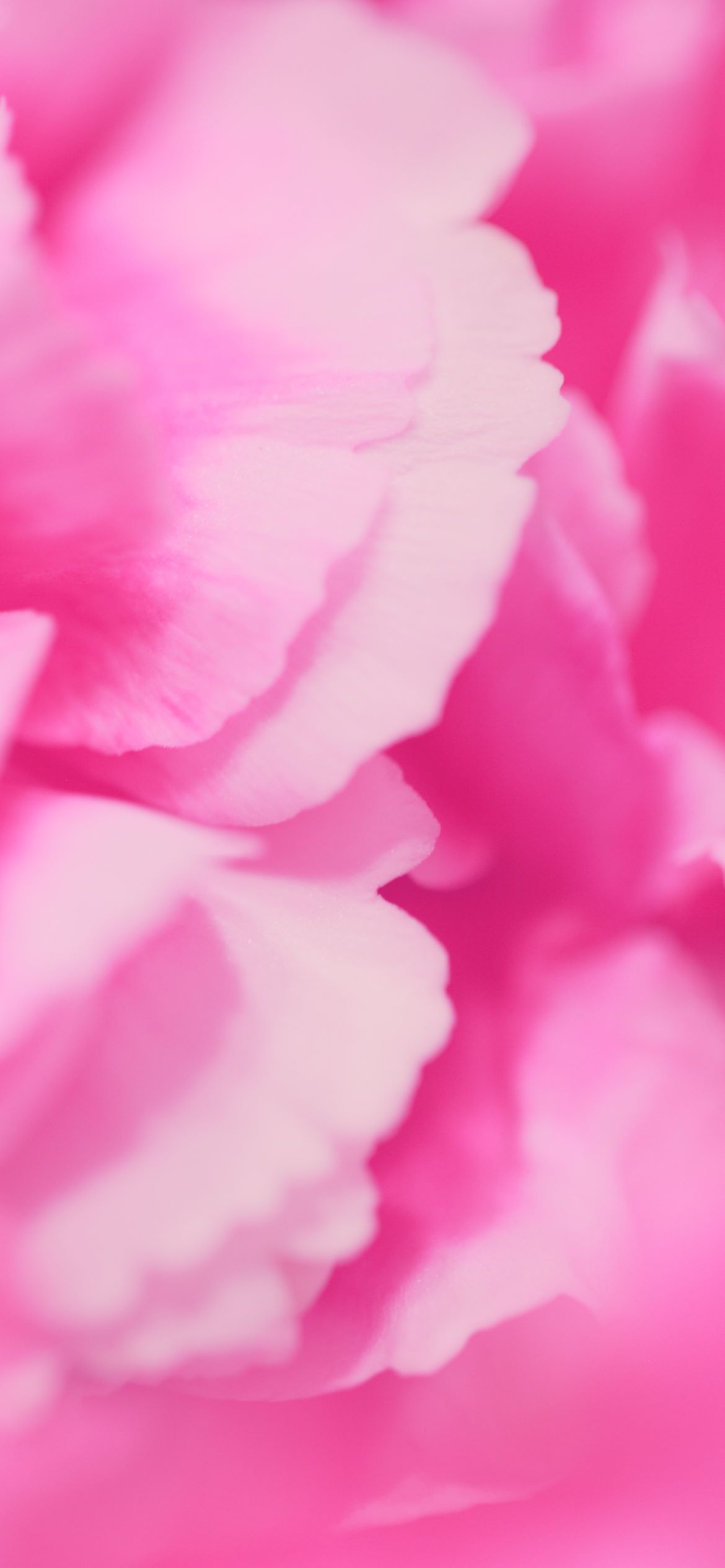 Girly Wallpaper. Choose from Pretty Styles