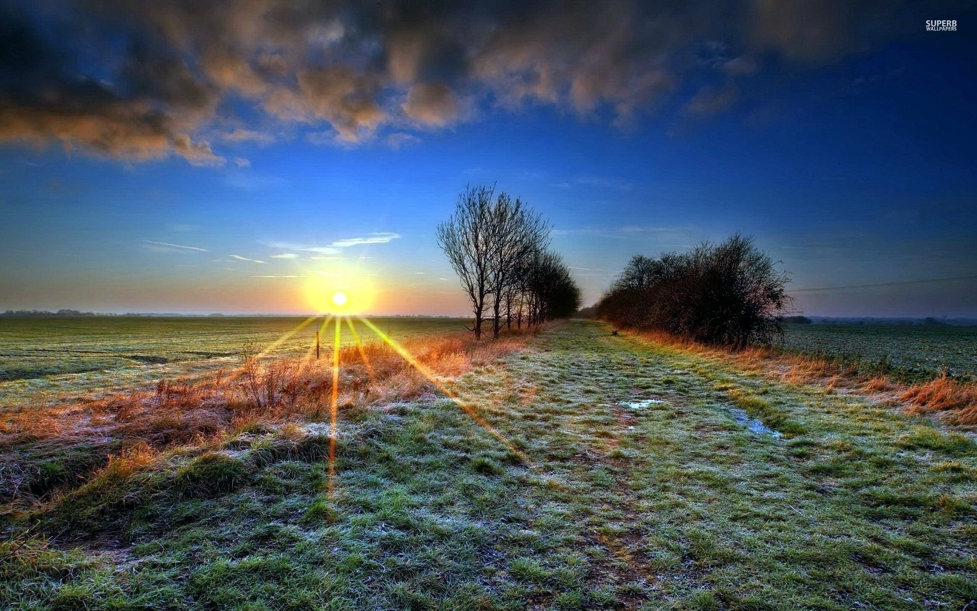 Frozen Field 16771 HD wallpaper
