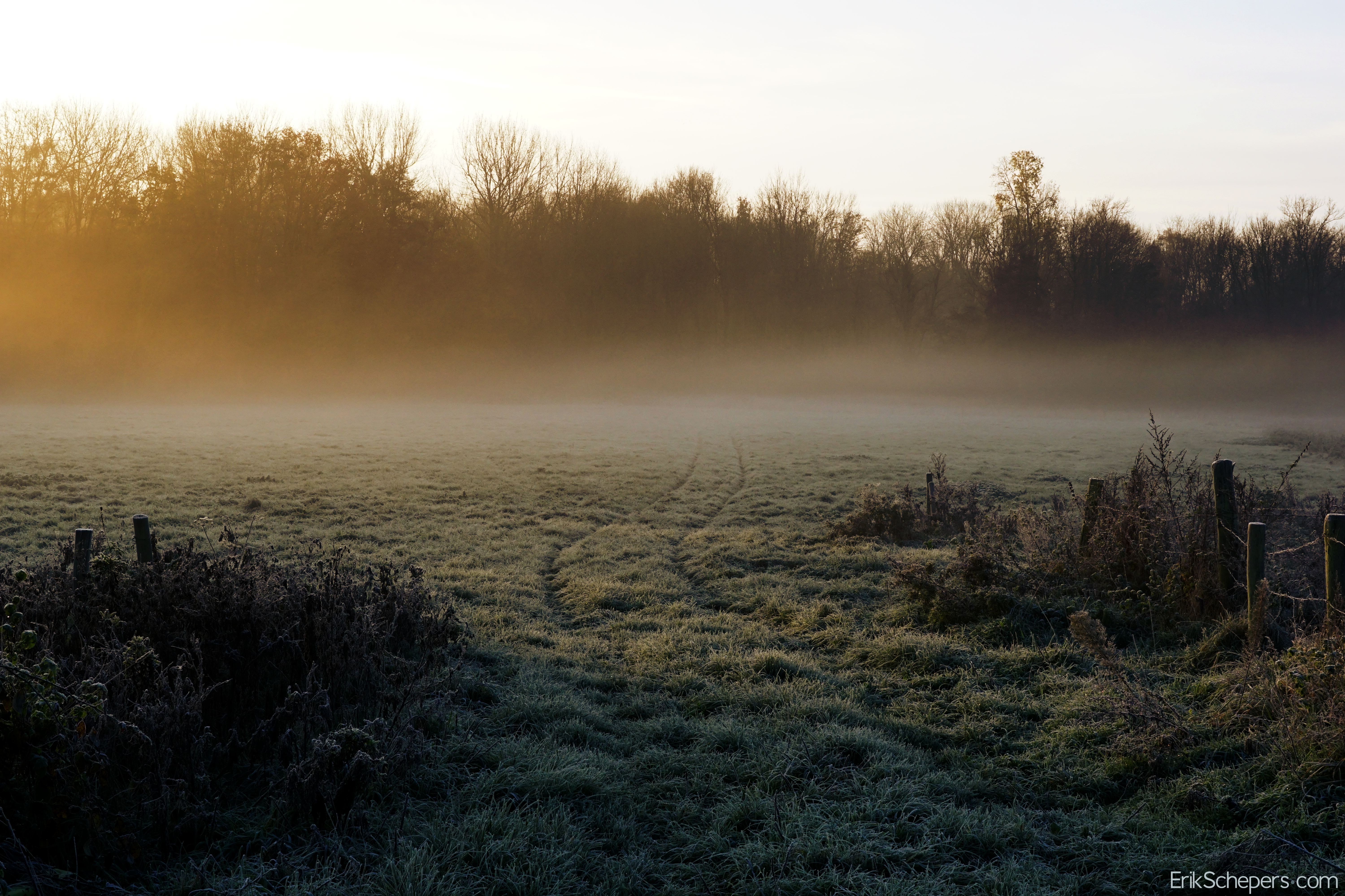Wallpaper, mist, field, fog, frozen, farm, dew 6000x4000