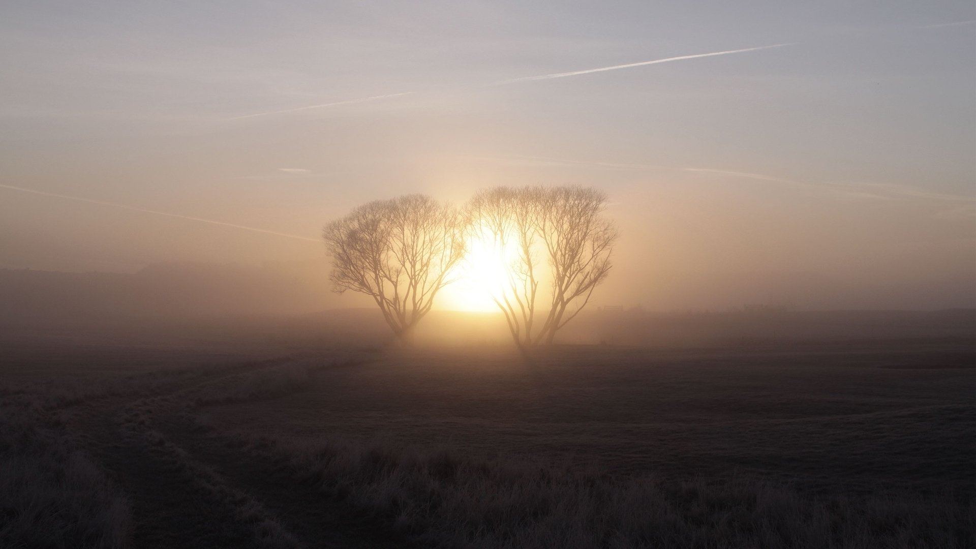 Frozen Field 14291 HD wallpaper